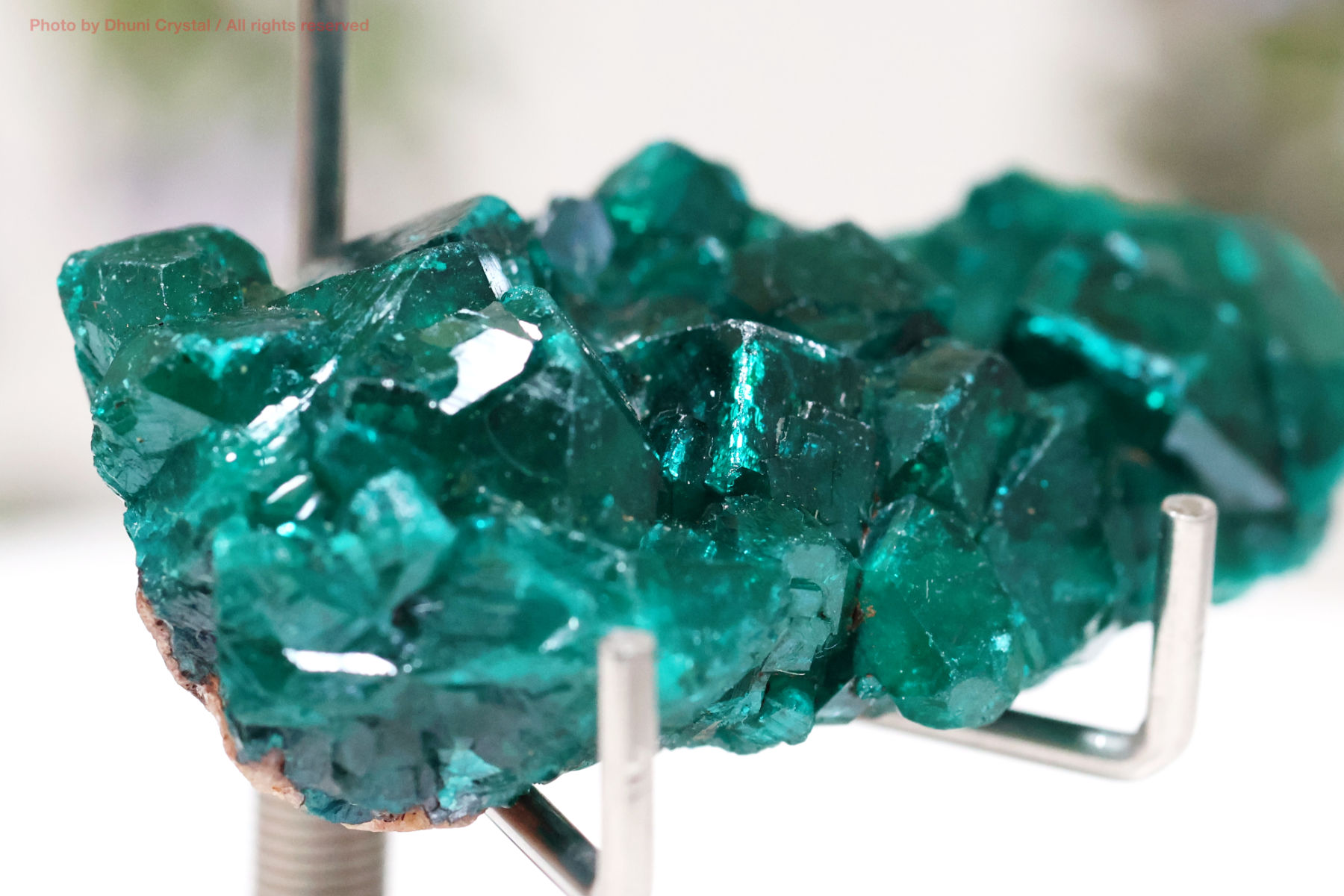 ダイオプテーズ 心を解き放つ深緑のヒーリングストーン