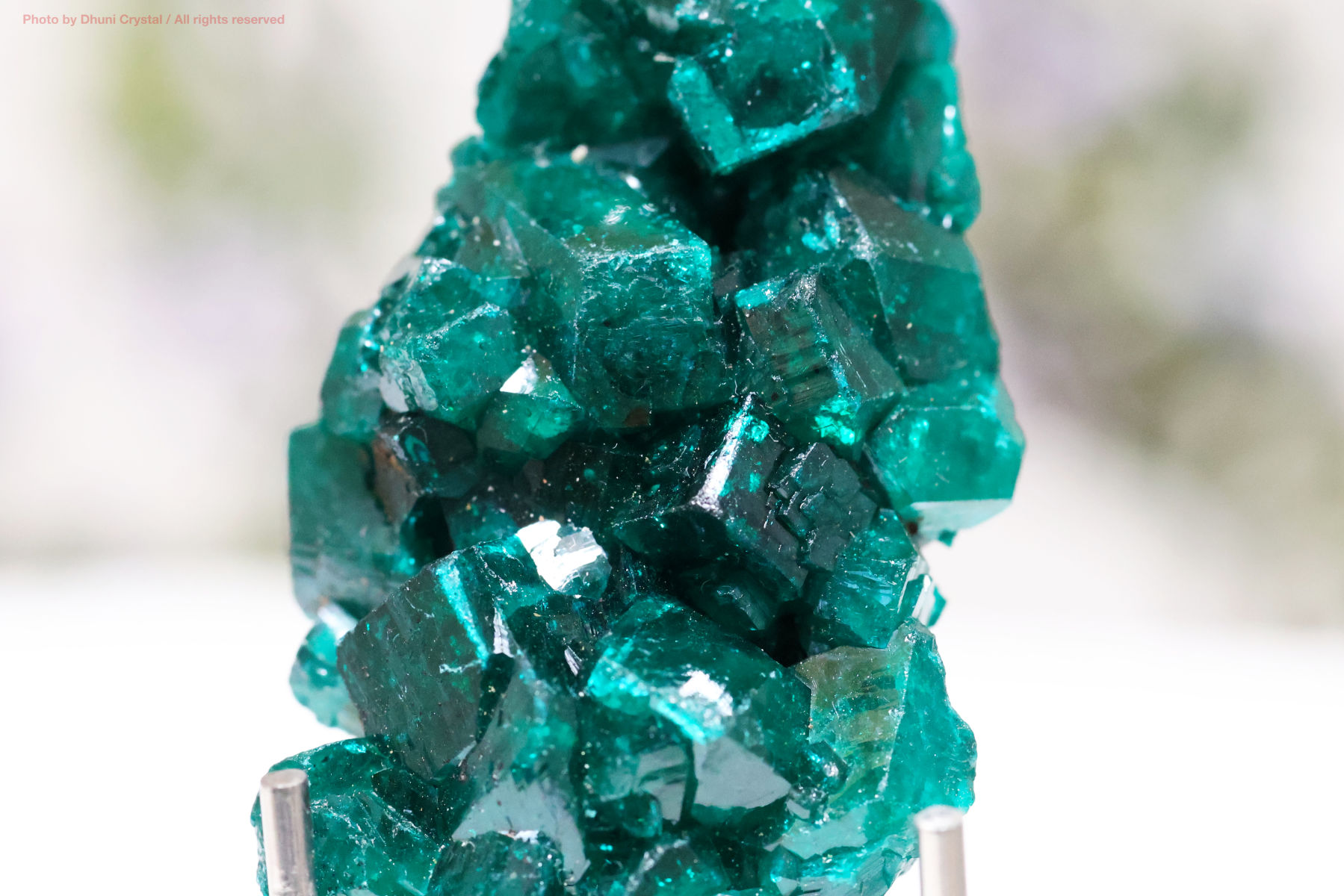 ダイオプテーズ 心を解き放つ深緑のヒーリングストーン