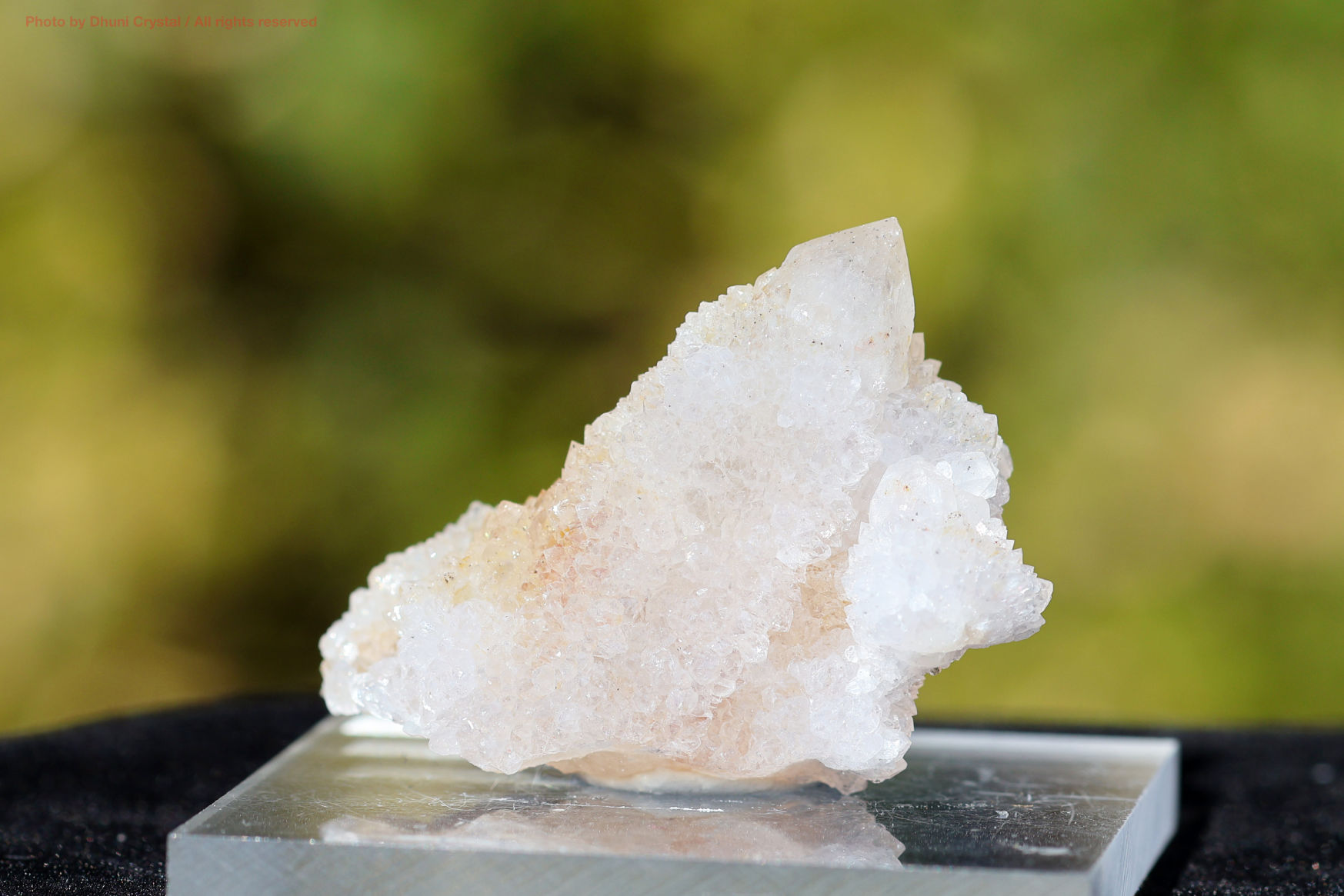 ホワイトスピリットクォーツ 原石 カクタスクォーツ 群晶 癒しと調和の