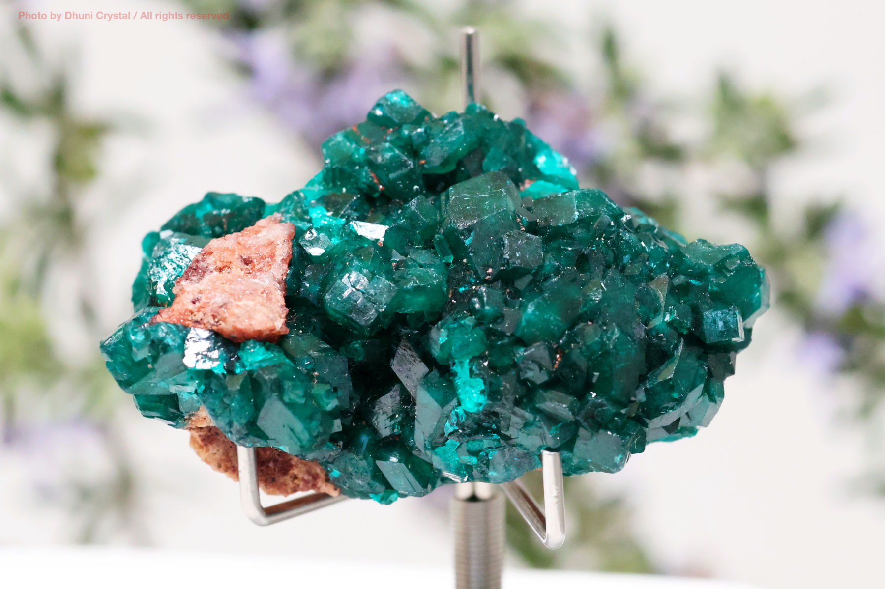 ダイオプテーズ 心を解き放つ深緑のヒーリングストーン