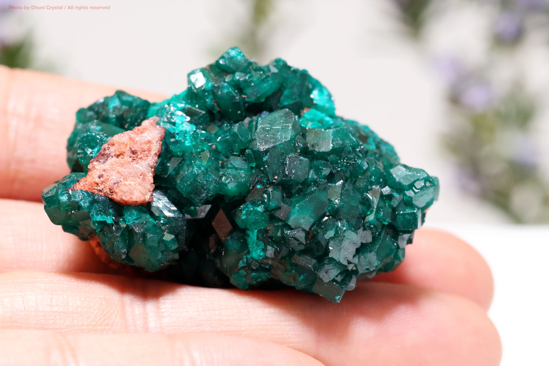 ダイオプテーズ 心を解き放つ深緑のヒーリングストーン