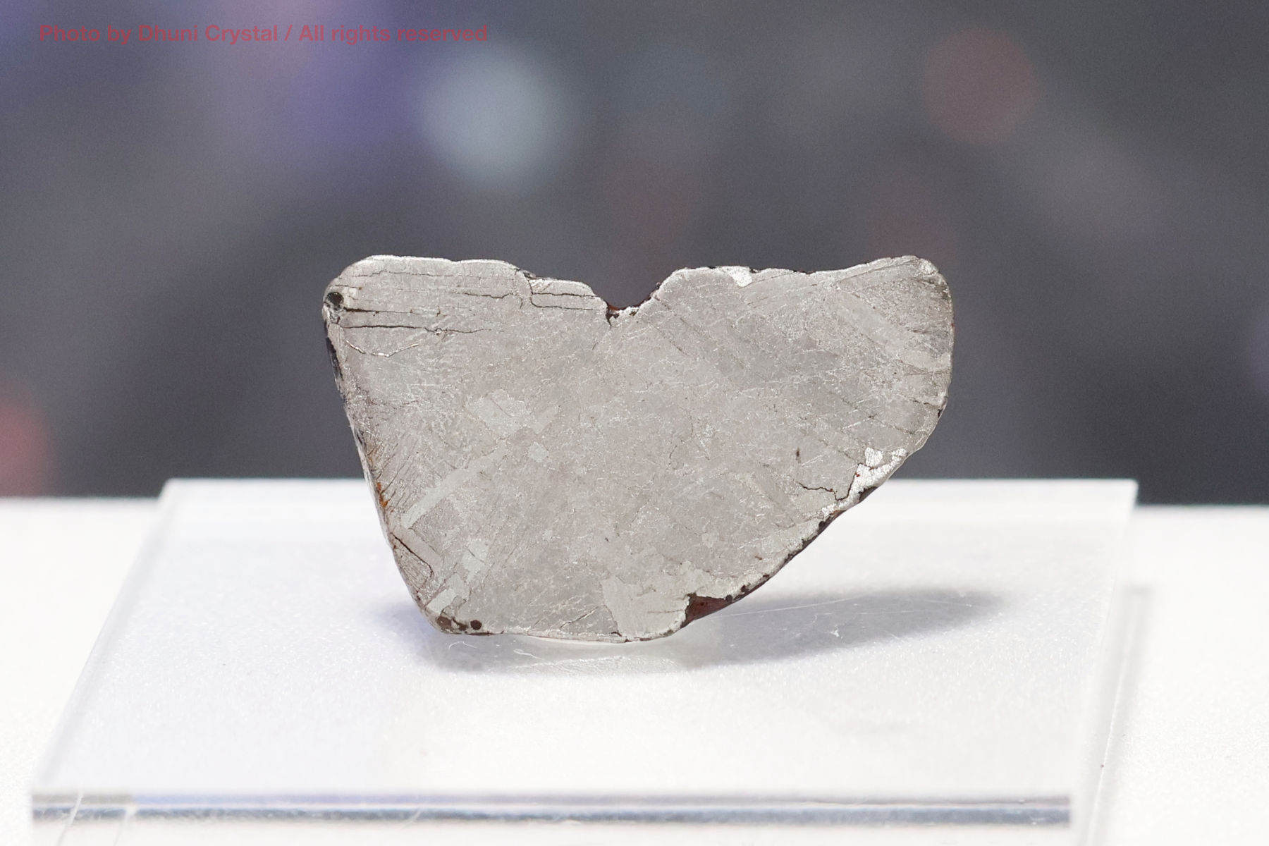 マンドラビラ隕石 オーストラリア産 アイアンメテオライト 標本