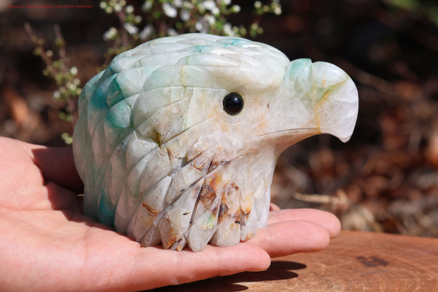 ジェムシリカ・イーグルカービング手の上の画像