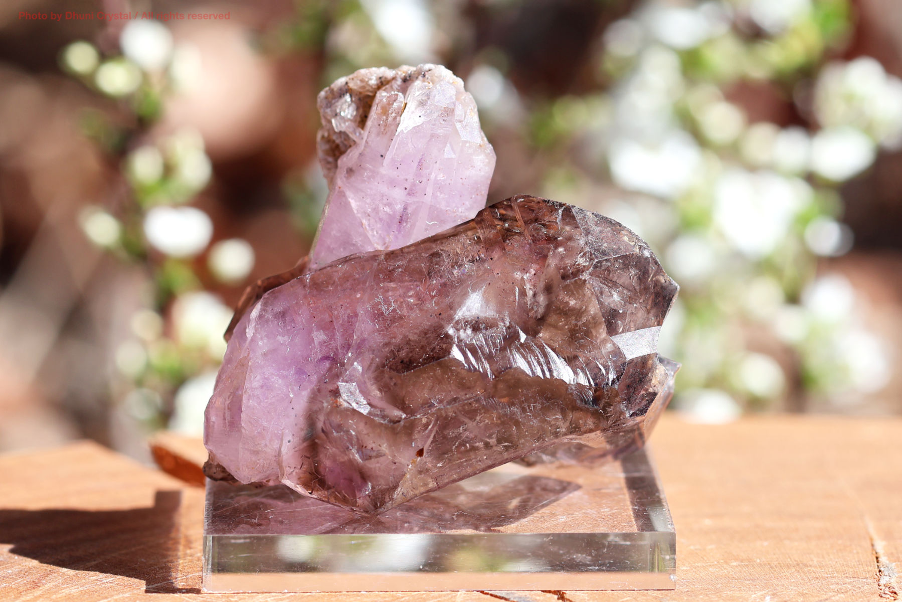 シャンガンエレスチャル 魂を覚醒へ導く 天然石 水晶