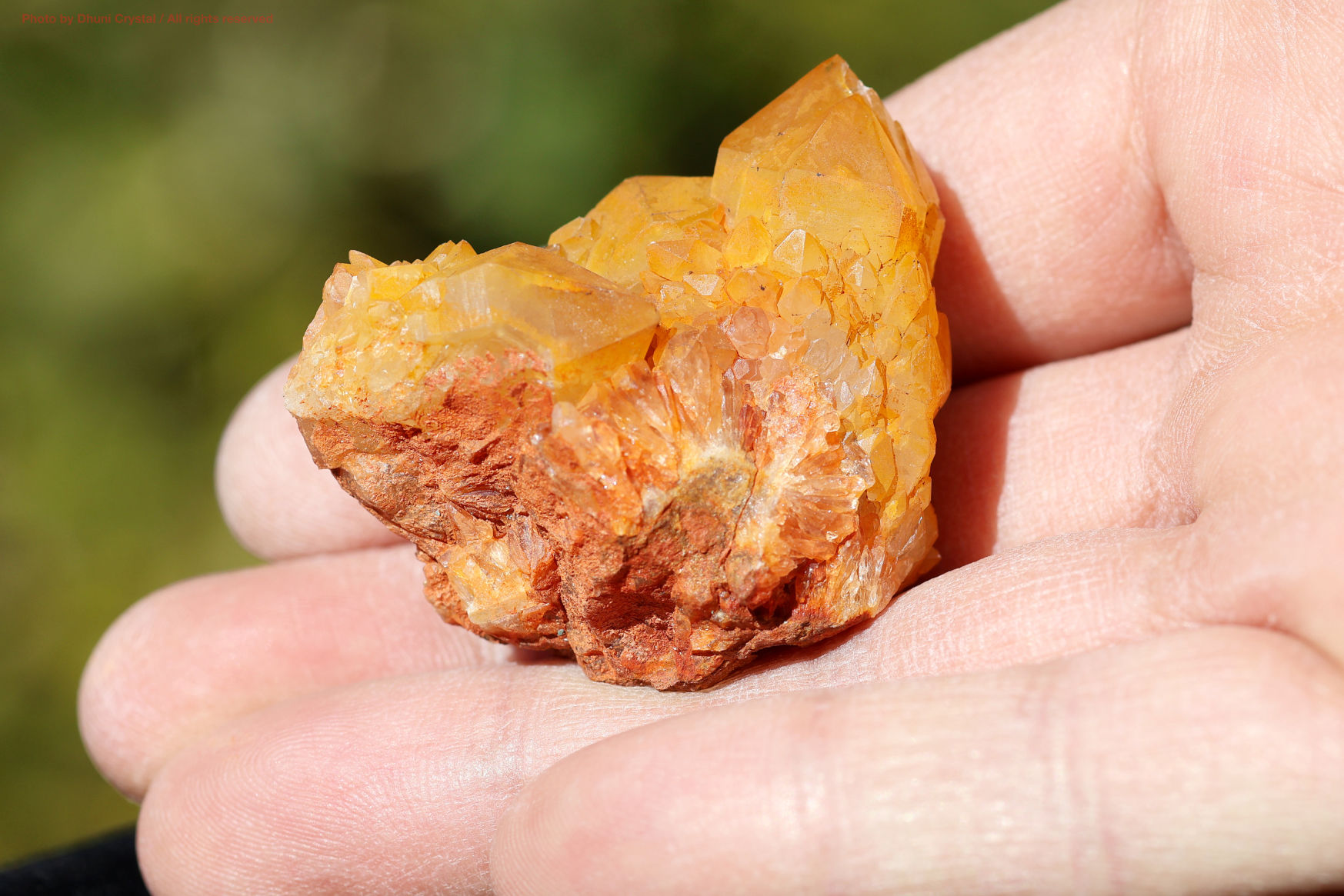 ゴールデンヒーラースピリットクォーツの手の上の画像