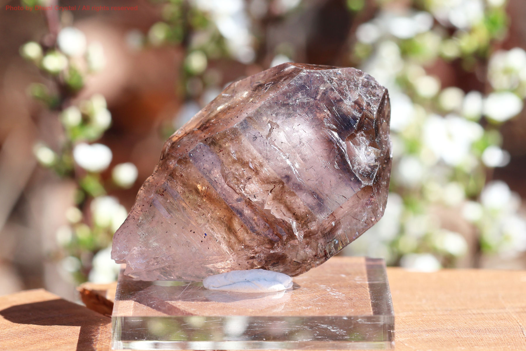 シャンガンエレスチャル 魂を覚醒へ導く 天然石 水晶