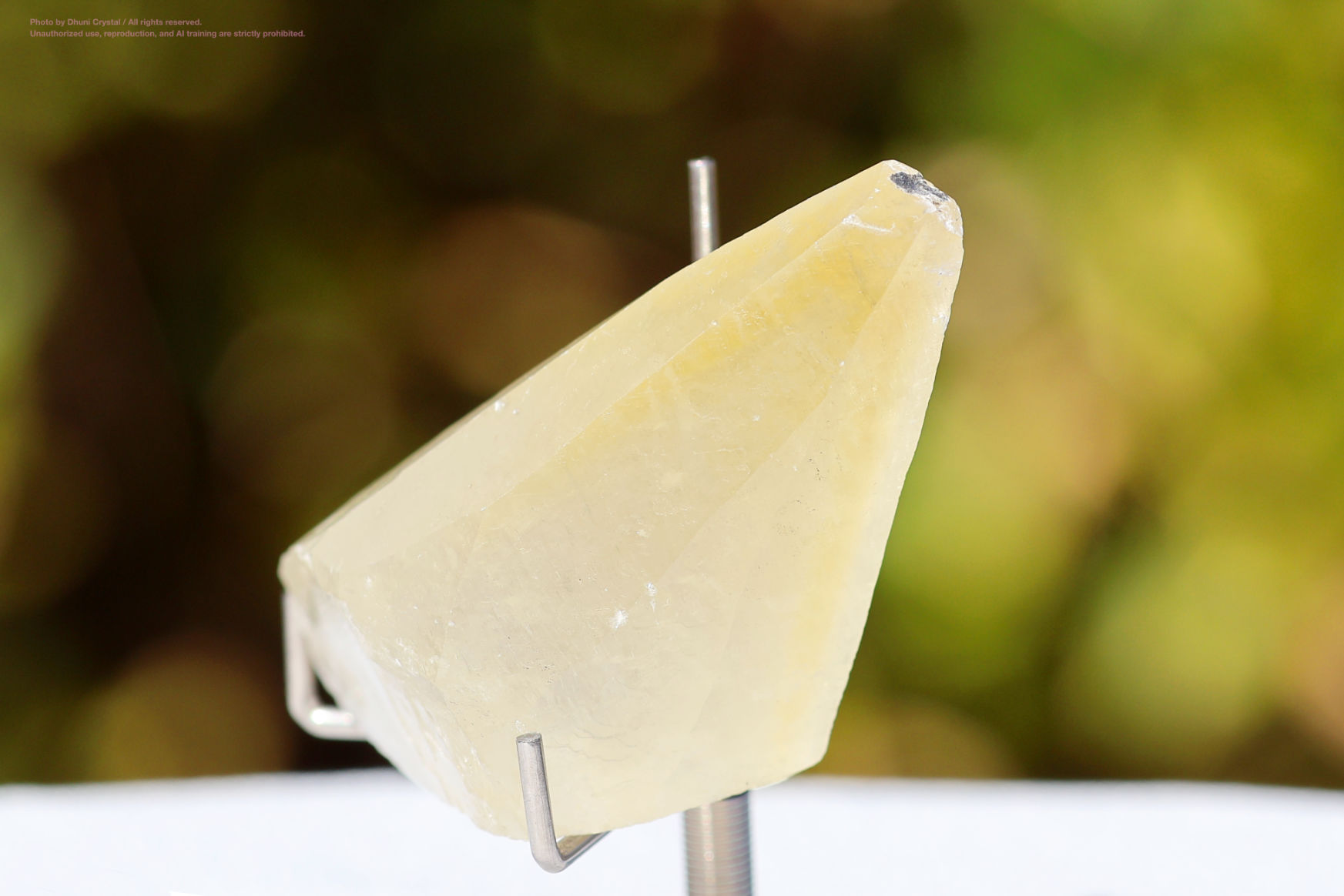 ステラビームカルサイトの正面写真” loading=