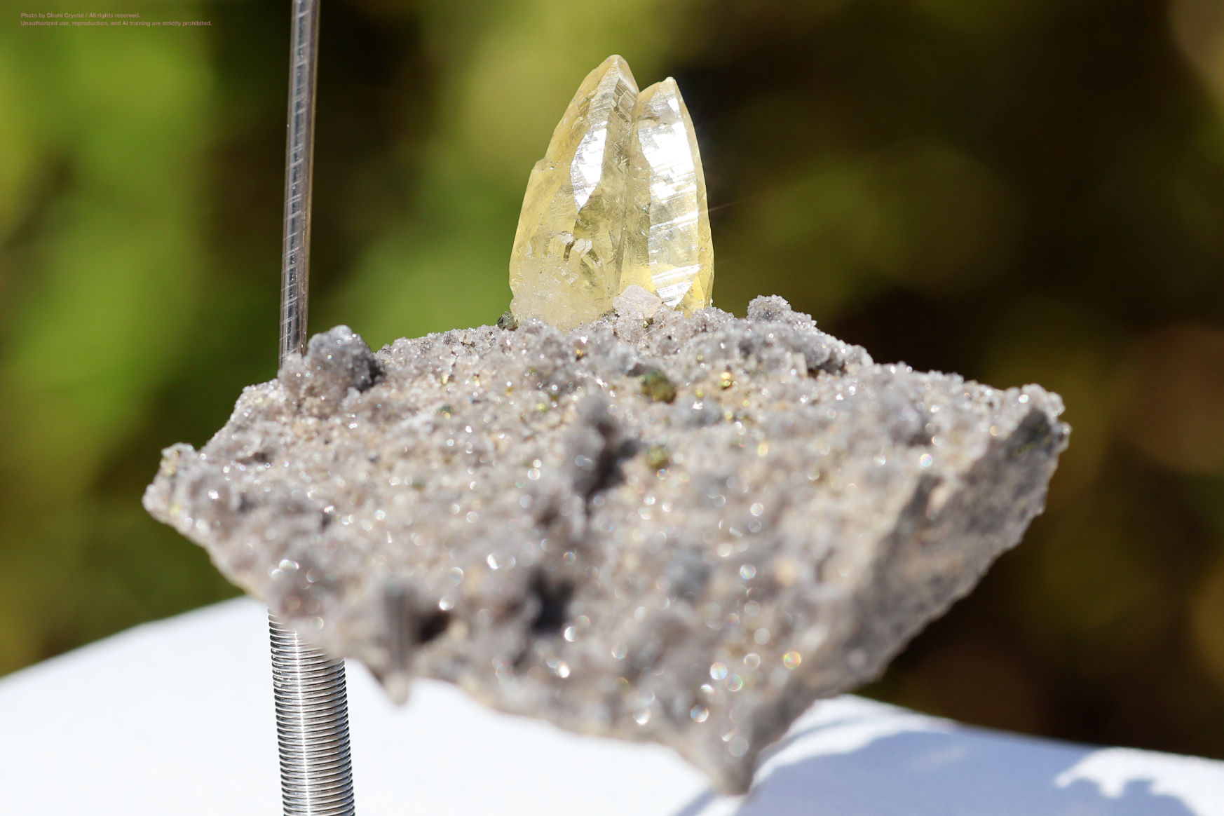 ステラビームカルサイトの正面写真” loading=