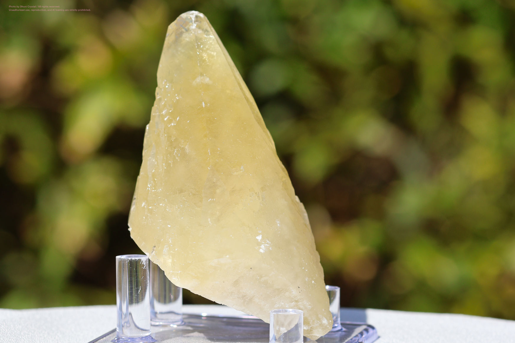 ステラビームカルサイトの側面画像