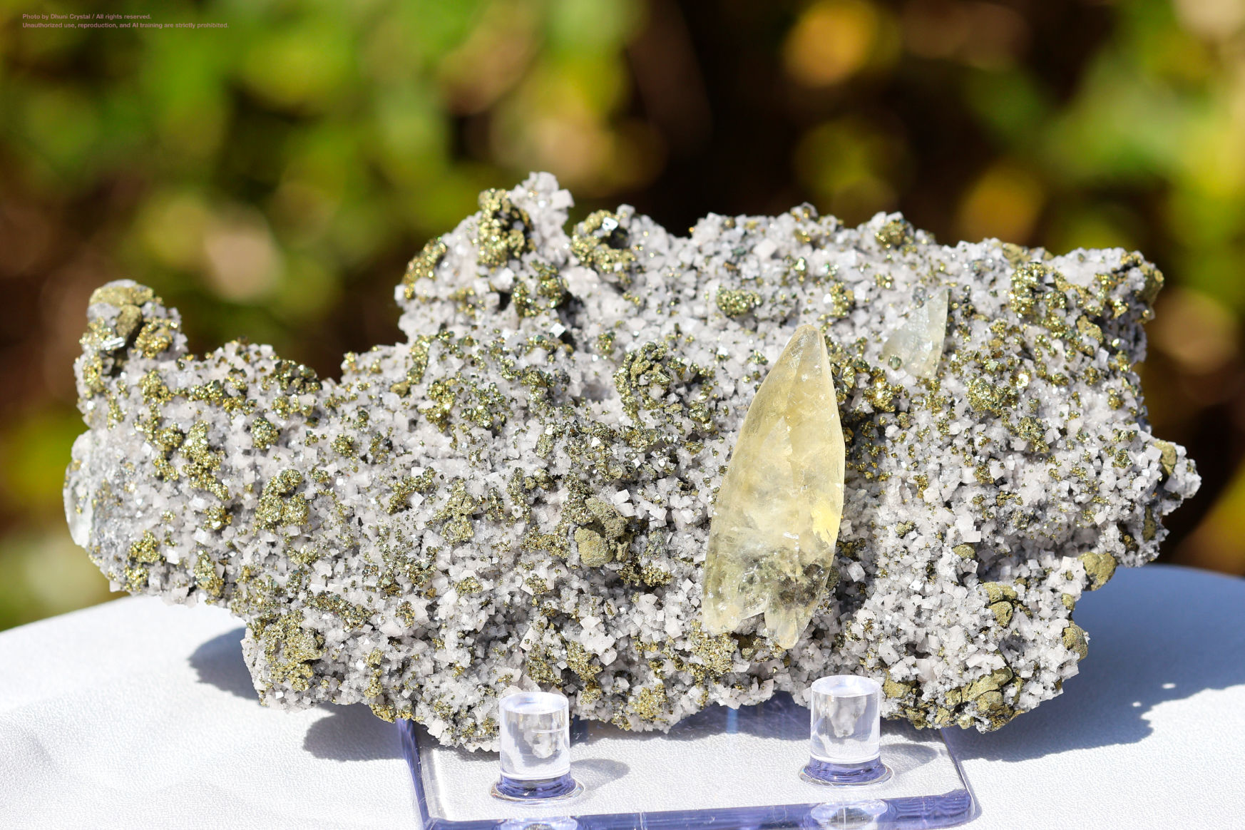 ステラビームカルサイトの正面写真” loading=