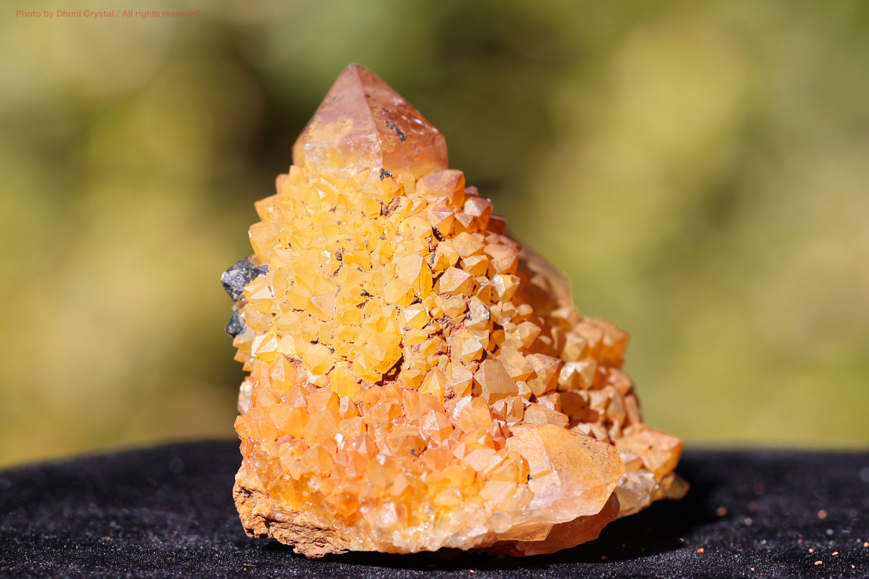 ゴールデンヒーラースピリットクォーツ 原石 カクタスクォーツ 群晶 天然石