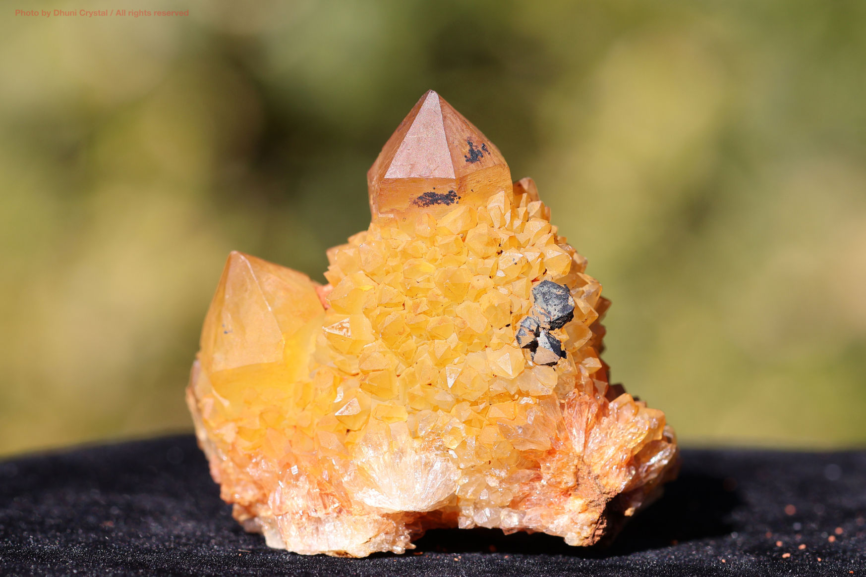 ゴールデンヒーラースピリットクォーツの手の上の画像