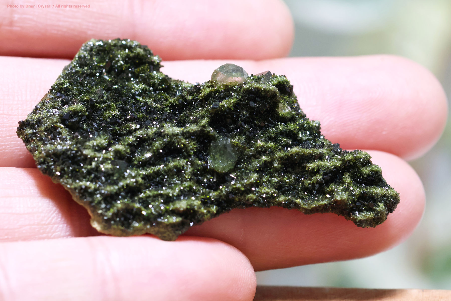 フェアリーフォレストクォーツ/エピドート&水晶の手の上の画像
