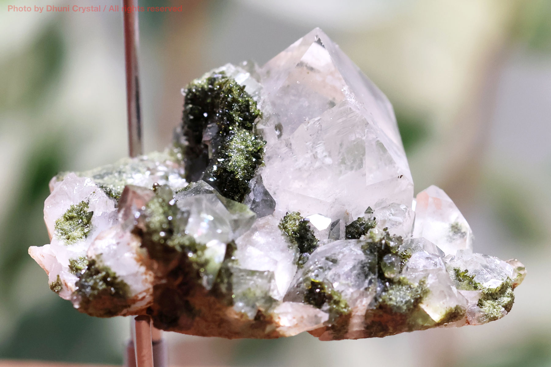 フェアリーフォレストクォーツ/エピドート&水晶の画像” loading=