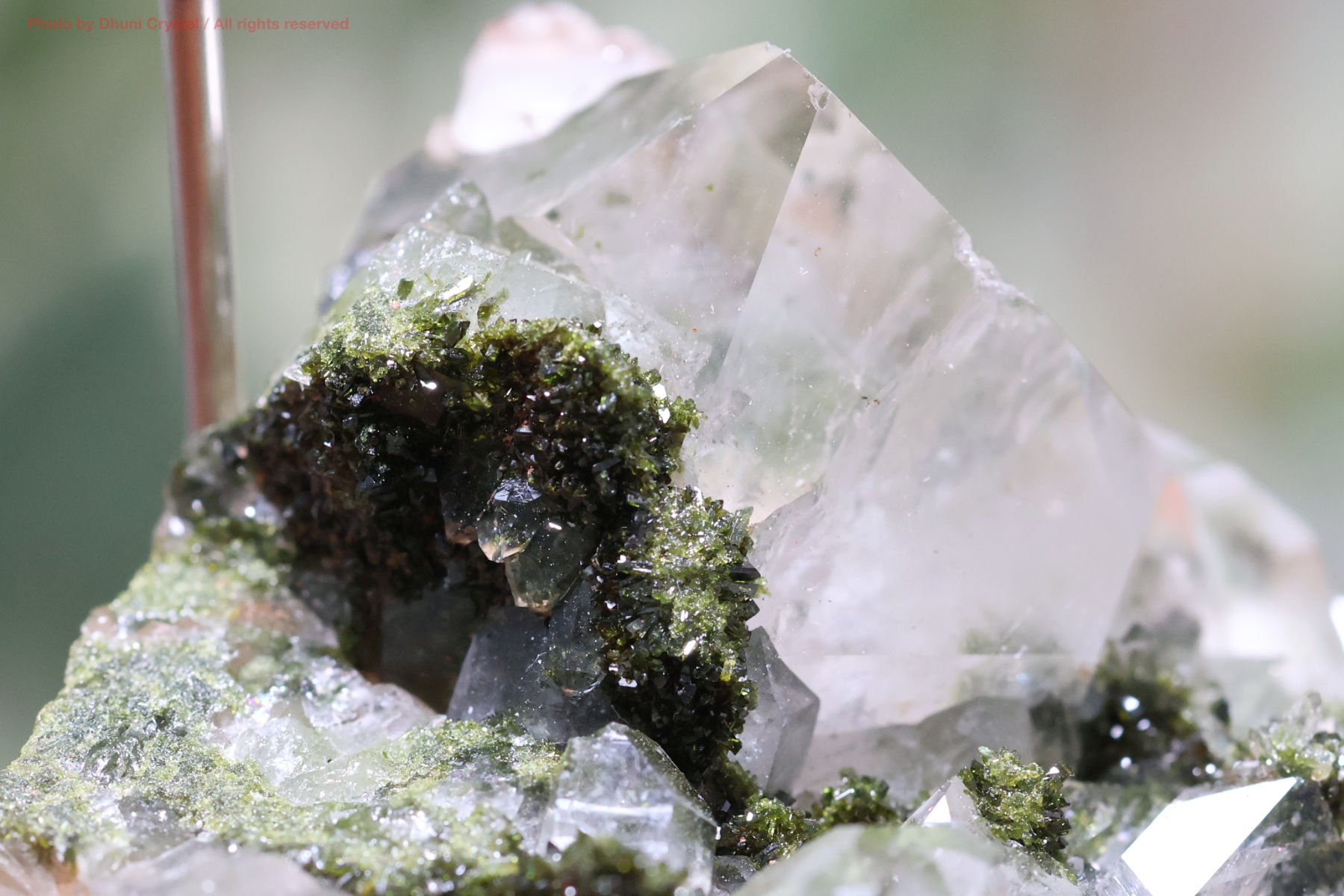 フェアリーフォレストクォーツ/エピドート&水晶の画像