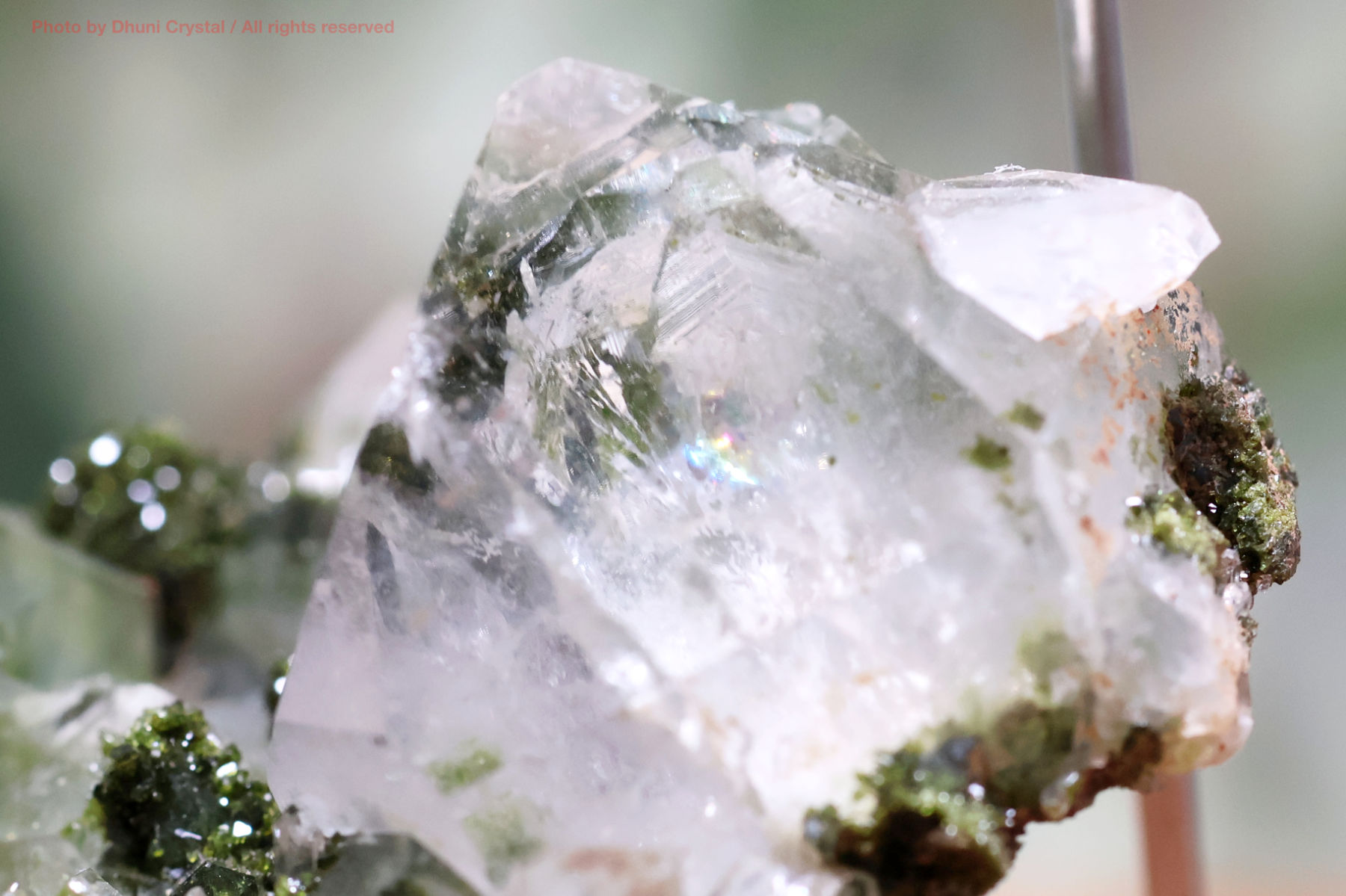 フェアリーフォレストクォーツ/エピドート&水晶の画像