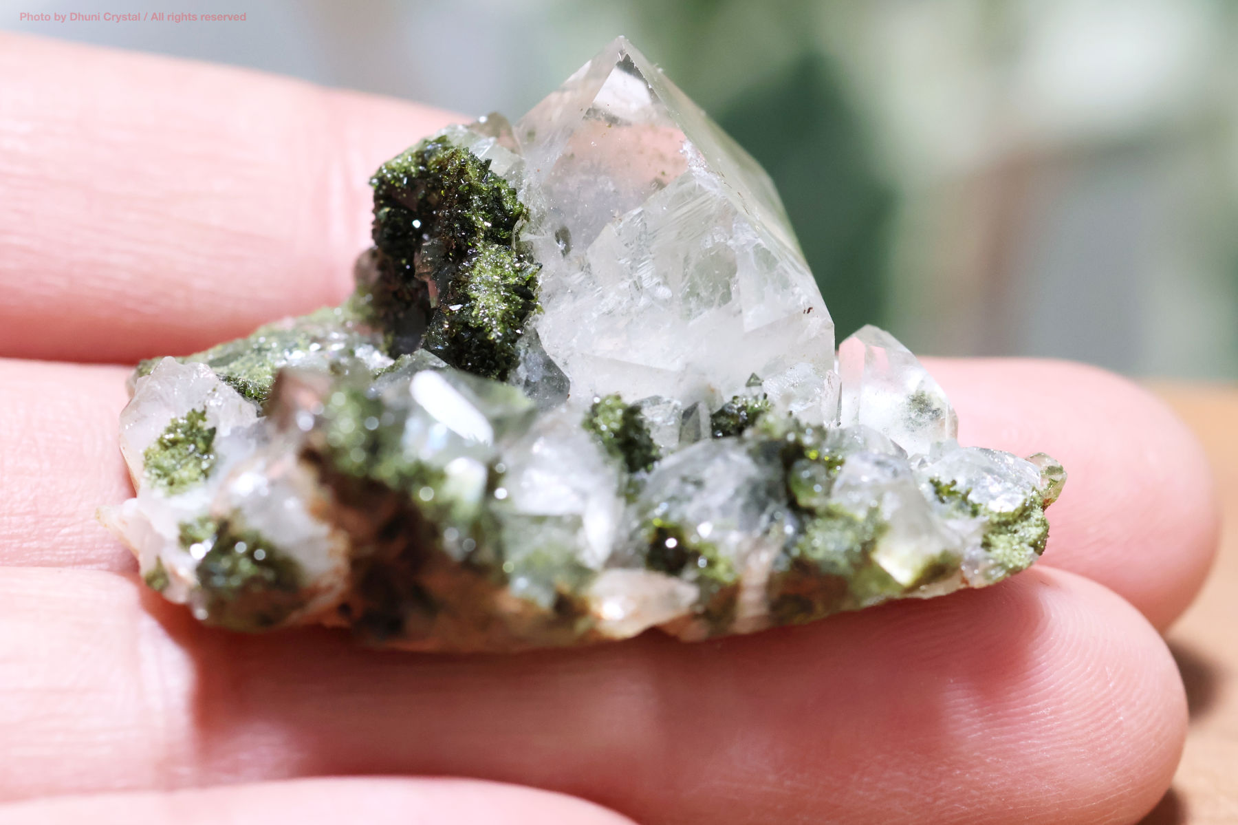 フェアリーフォレストクォーツ/エピドート&水晶の手の上の画像
