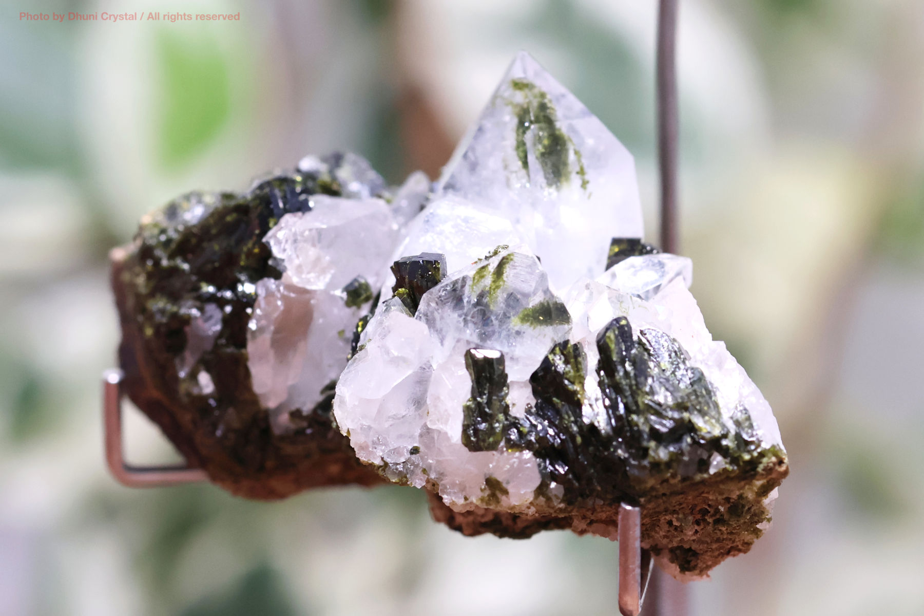 フェアリーフォレストクォーツ/エピドート&水晶の画像