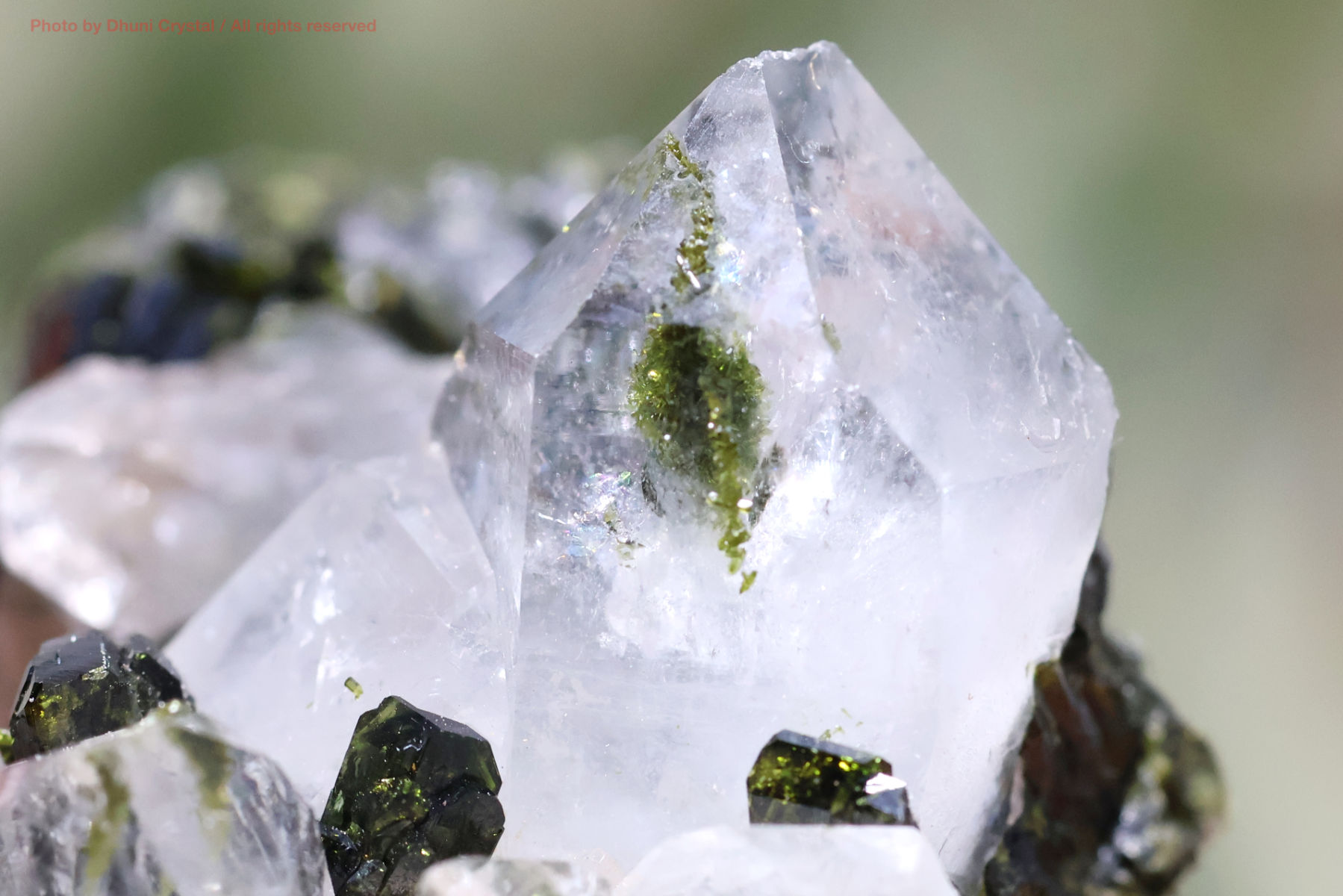 フェアリーフォレストクォーツ/エピドート&水晶の画像