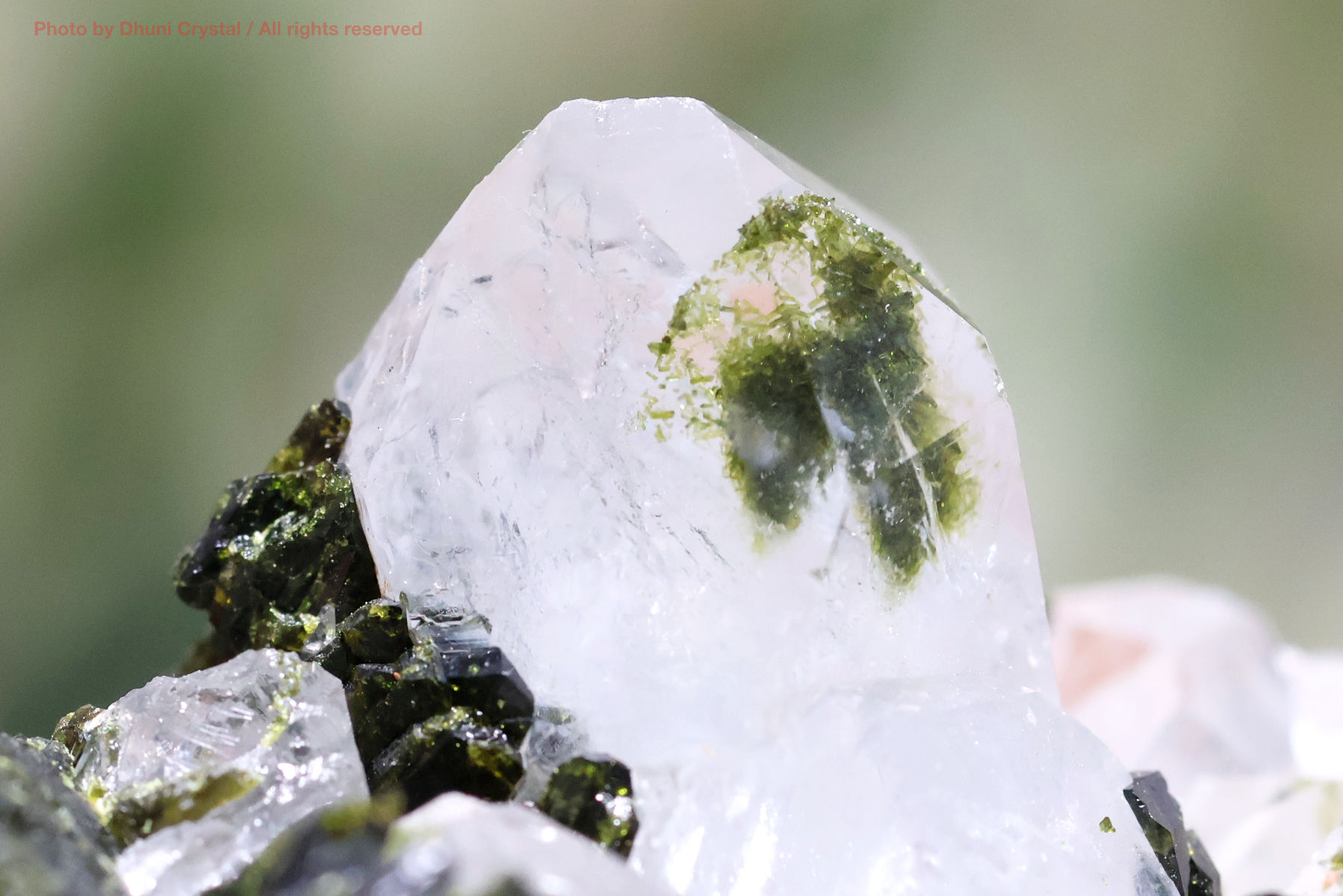 フェアリーフォレストクォーツ/エピドート&水晶の画像