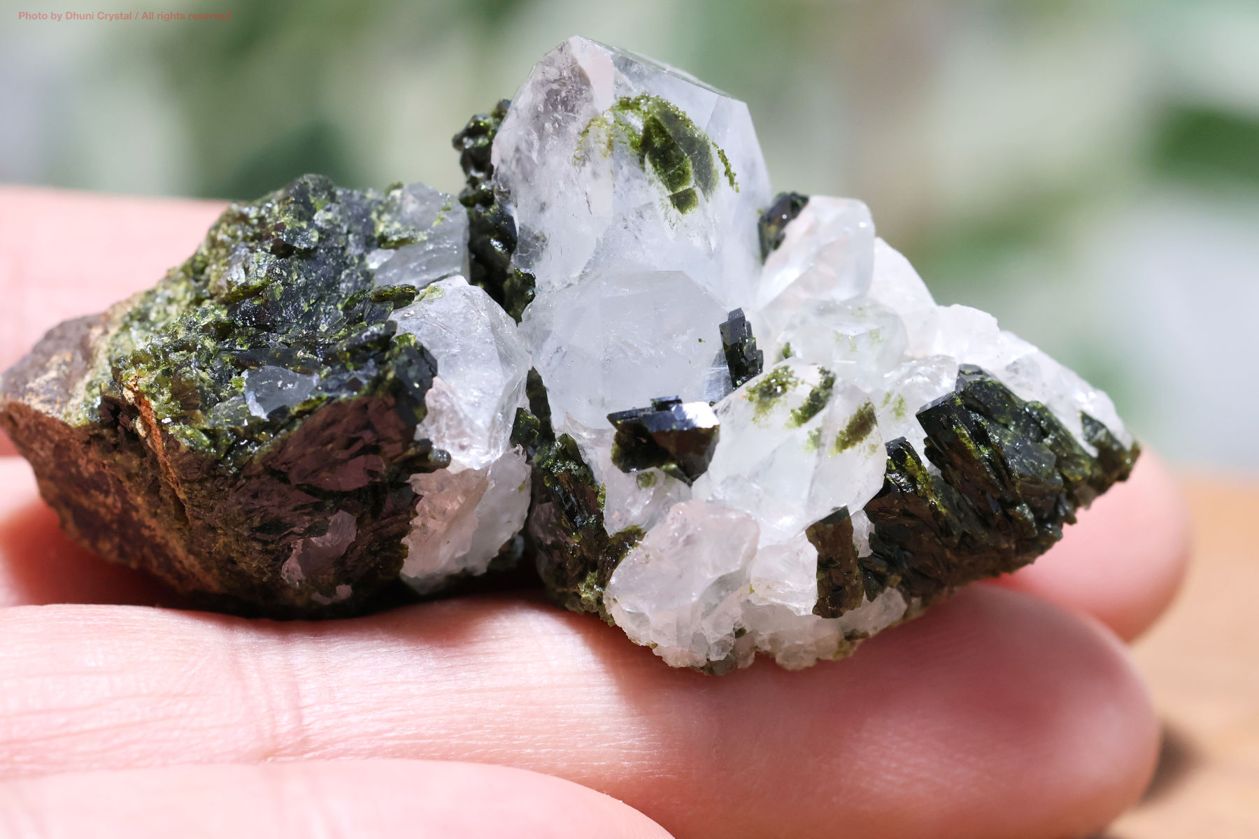 フェアリーフォレストクォーツ/エピドート&水晶の手の上の画像