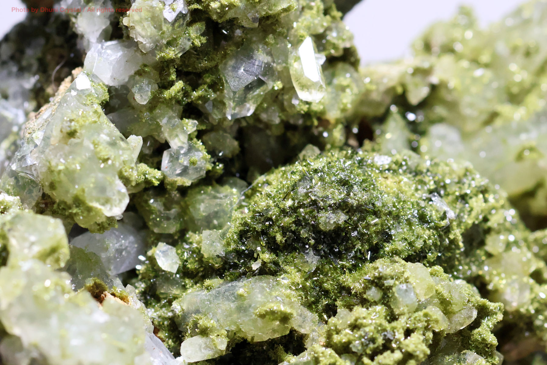 フェアリーフォレストクォーツ/エピドート&水晶の画像