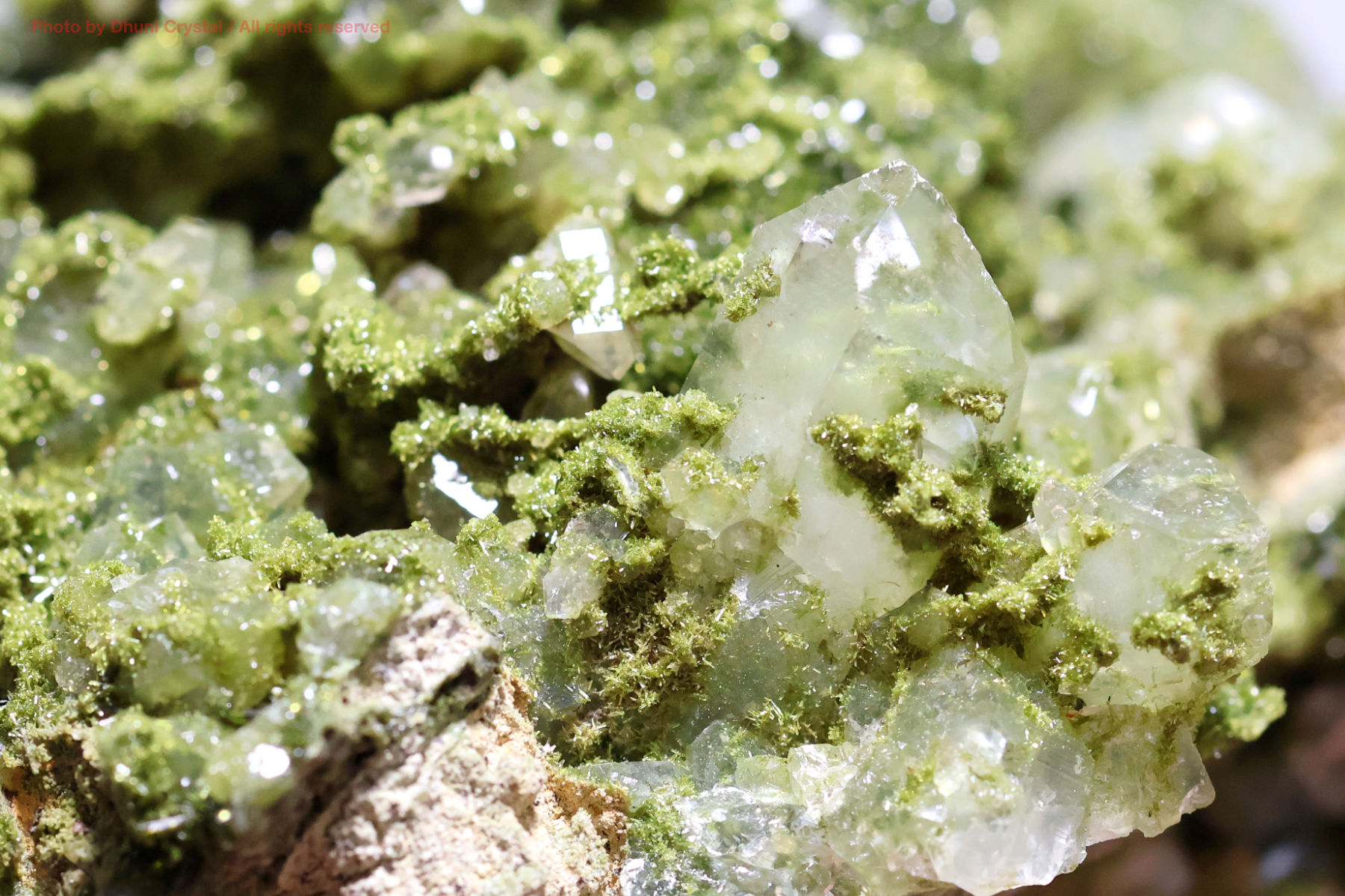 フェアリーフォレストクォーツ/エピドート&水晶の画像