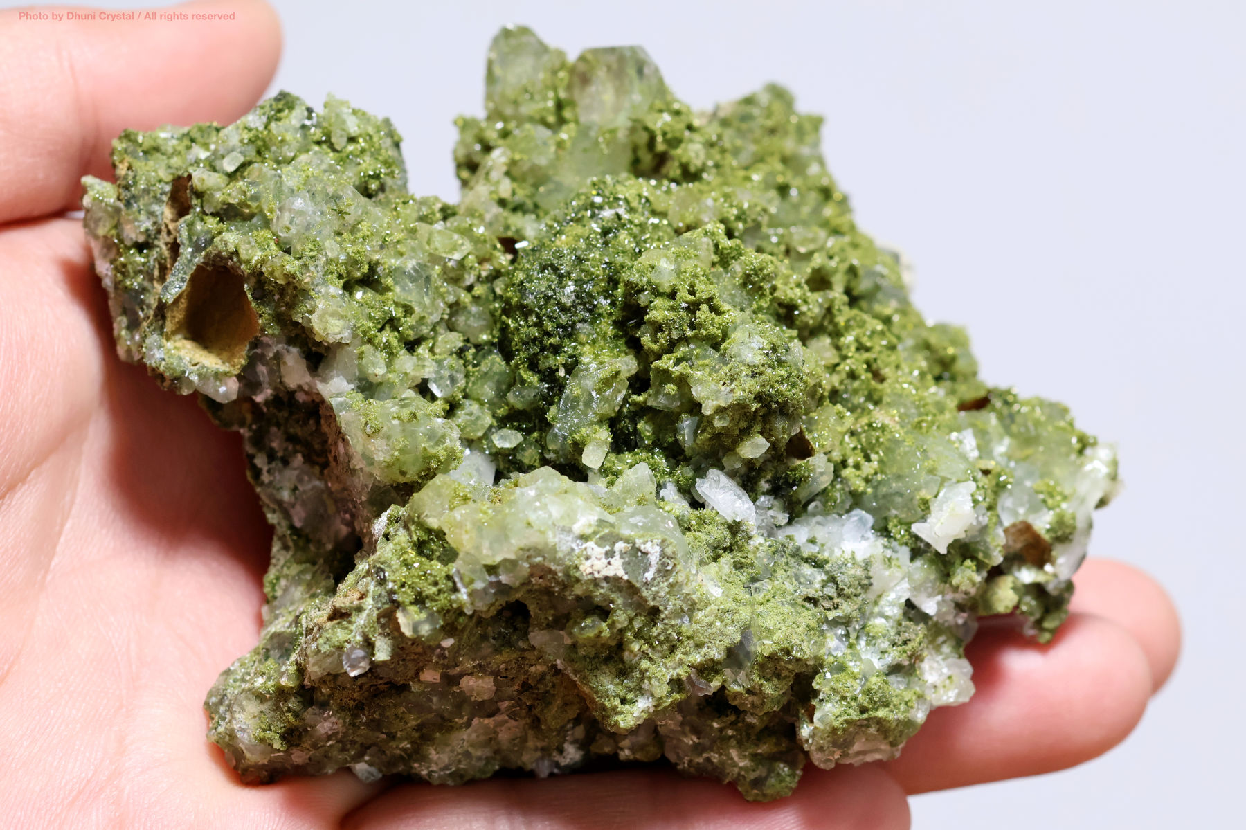 フェアリーフォレストクォーツ/エピドート&水晶の手の上の画像