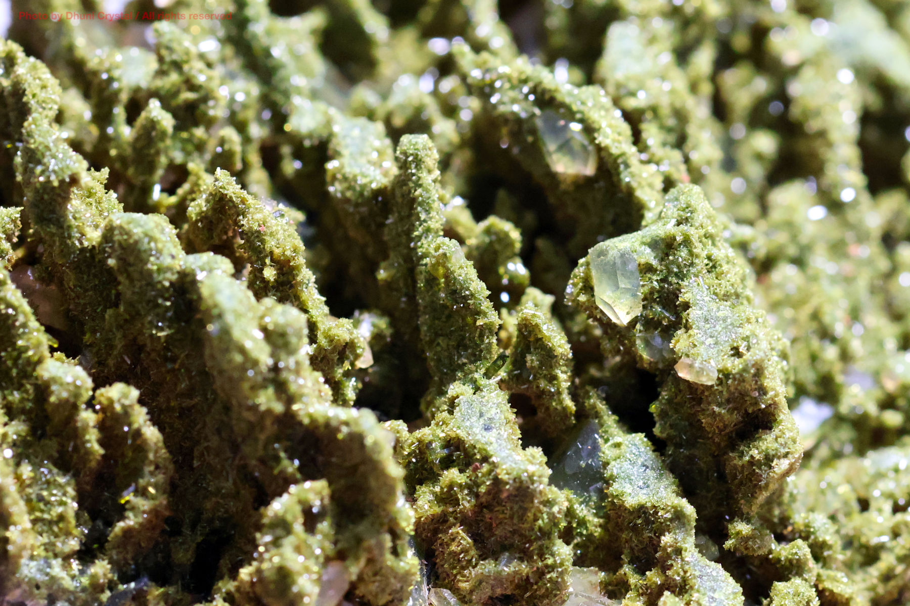 フェアリーフォレストクォーツ/エピドート&水晶の画像