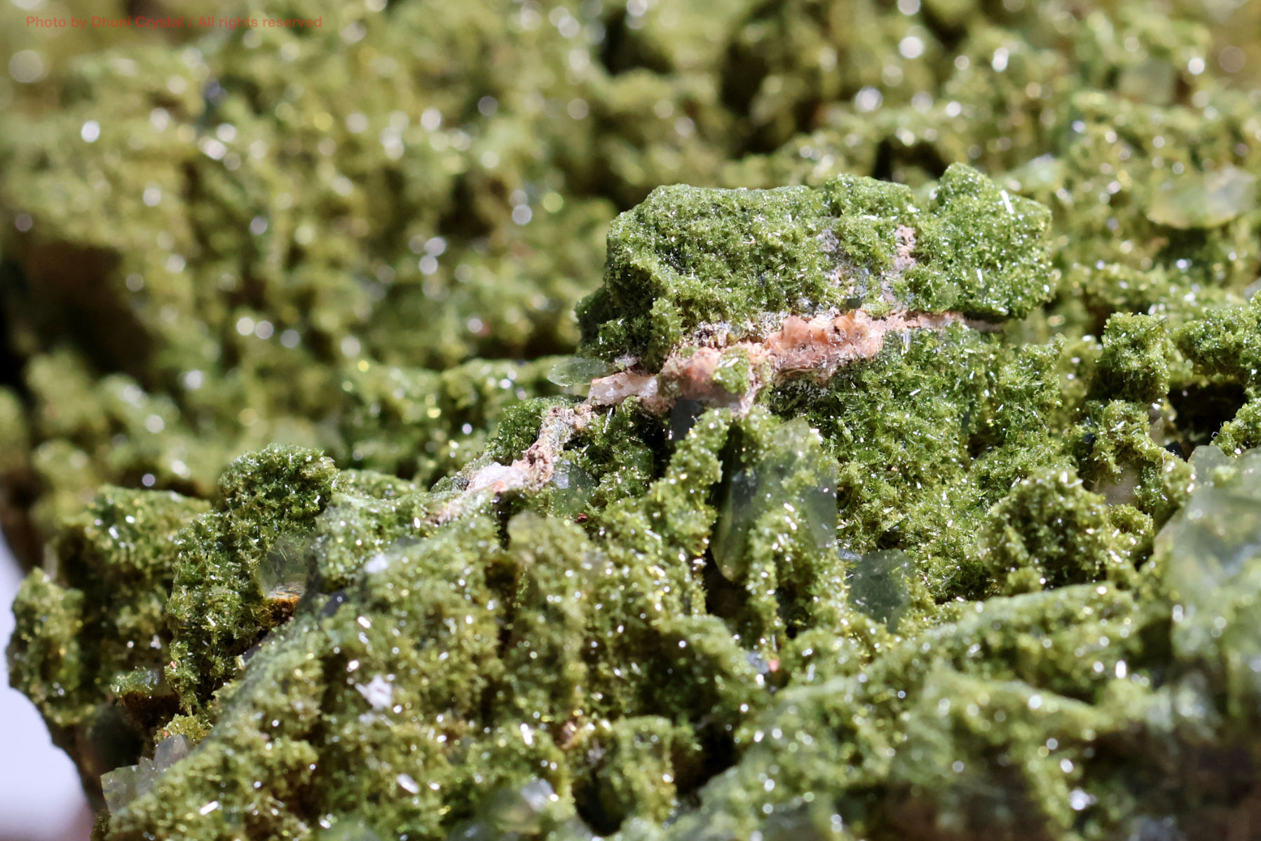 フェアリーフォレストクォーツ/エピドート&水晶の画像