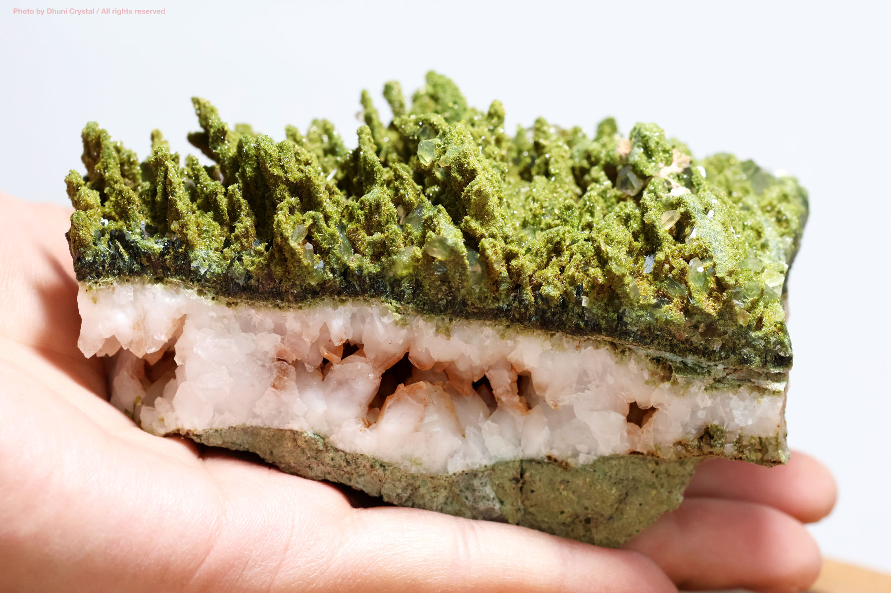 フェアリーフォレストクォーツ/エピドート&水晶の手の上の画像
