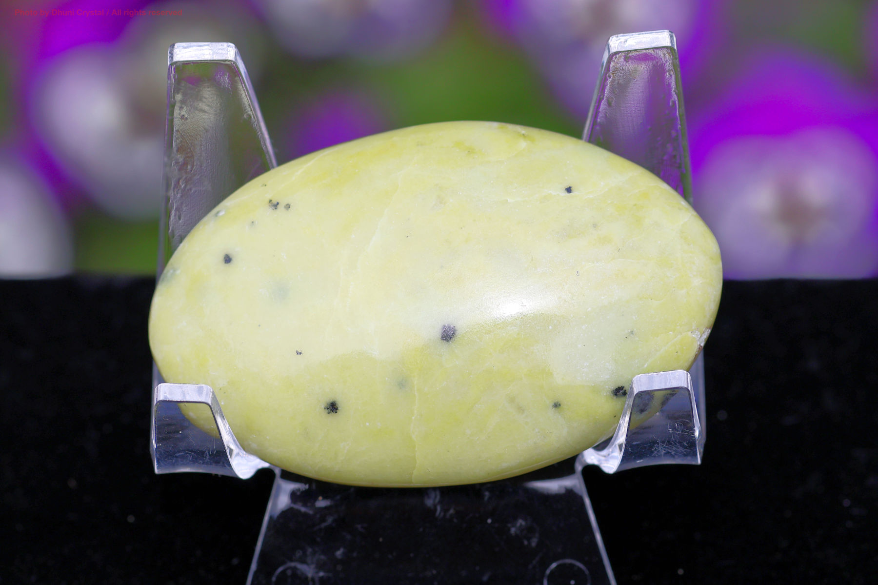 サーペンティンの画像” loading=