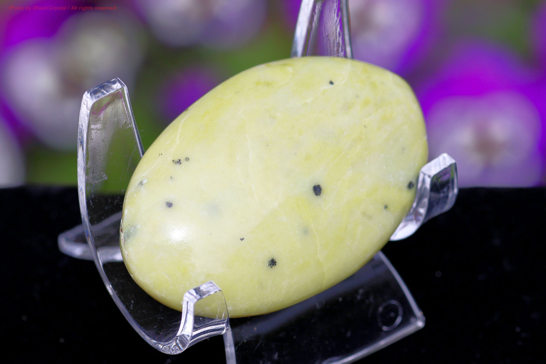 サーペンティンの画像