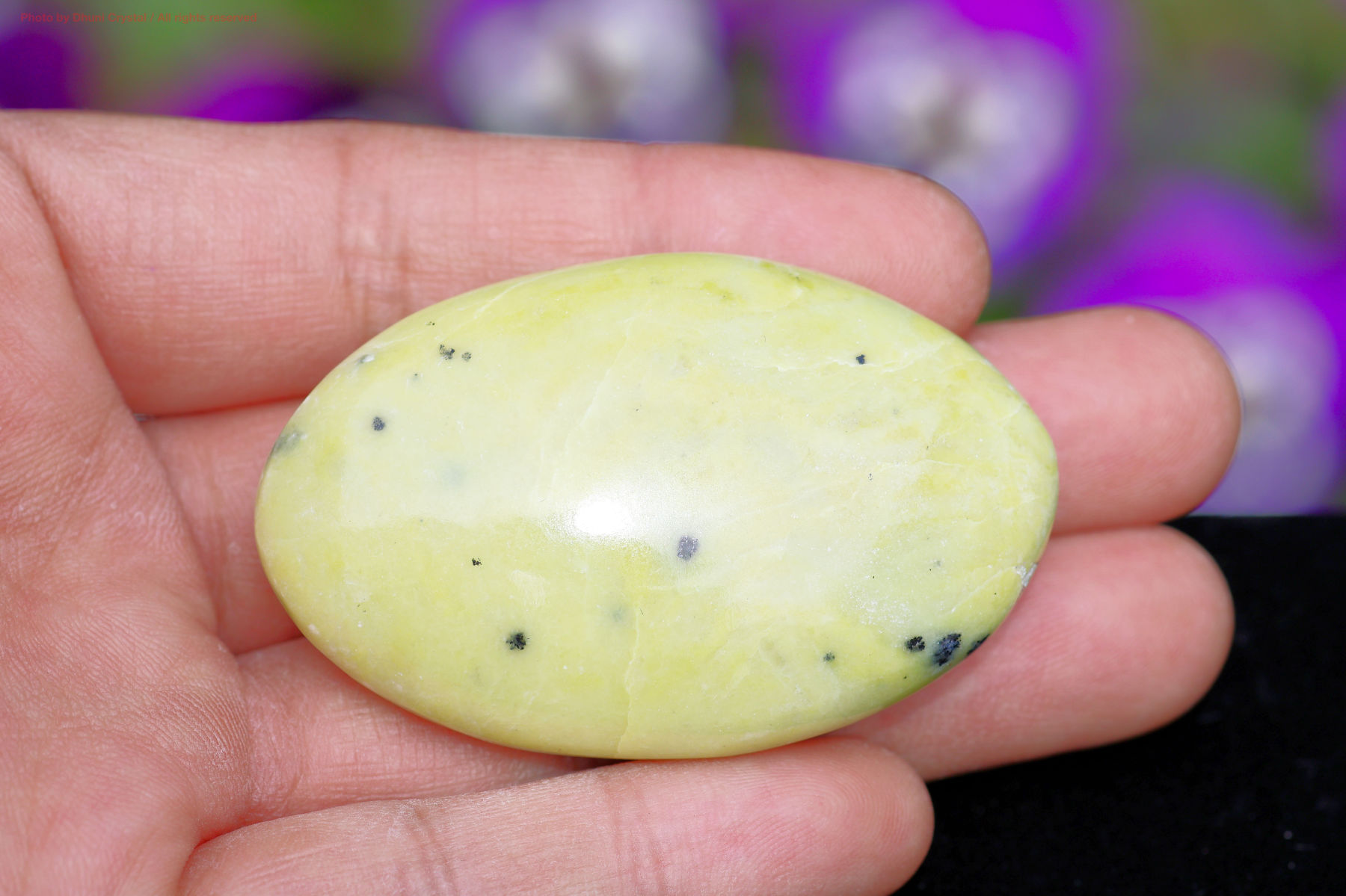 サーペンティンの画像