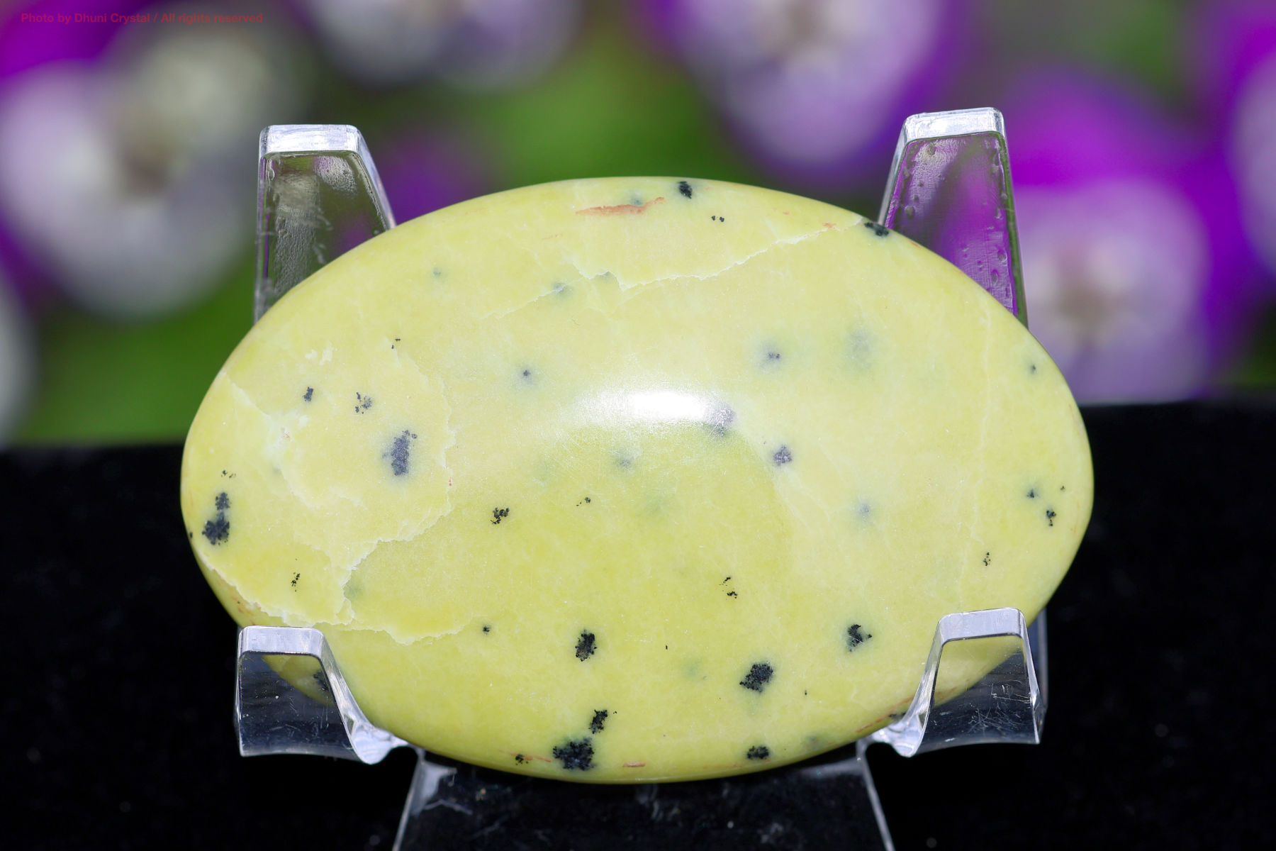 サーペンティンの画像” loading=