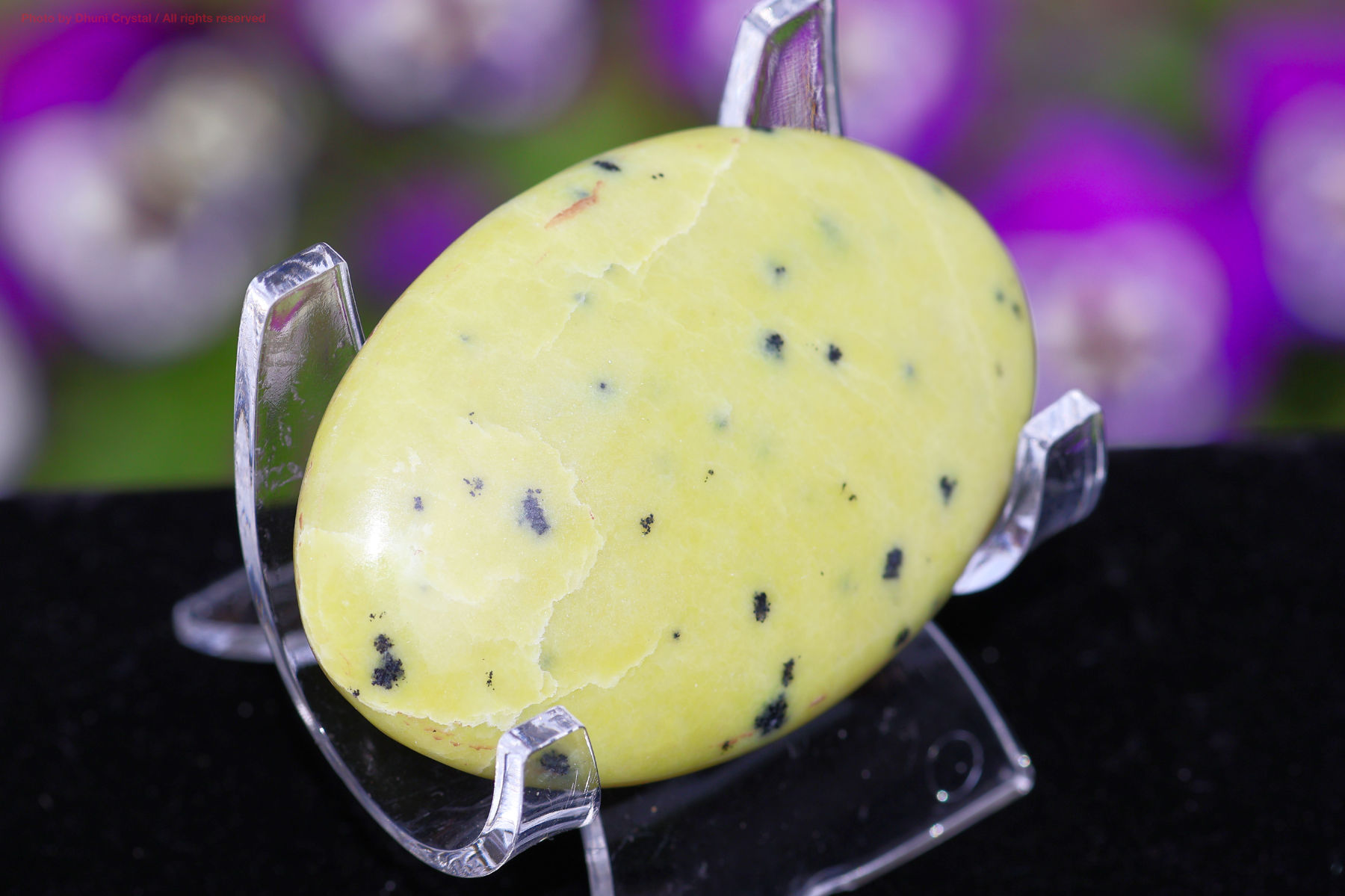 サーペンティンの画像