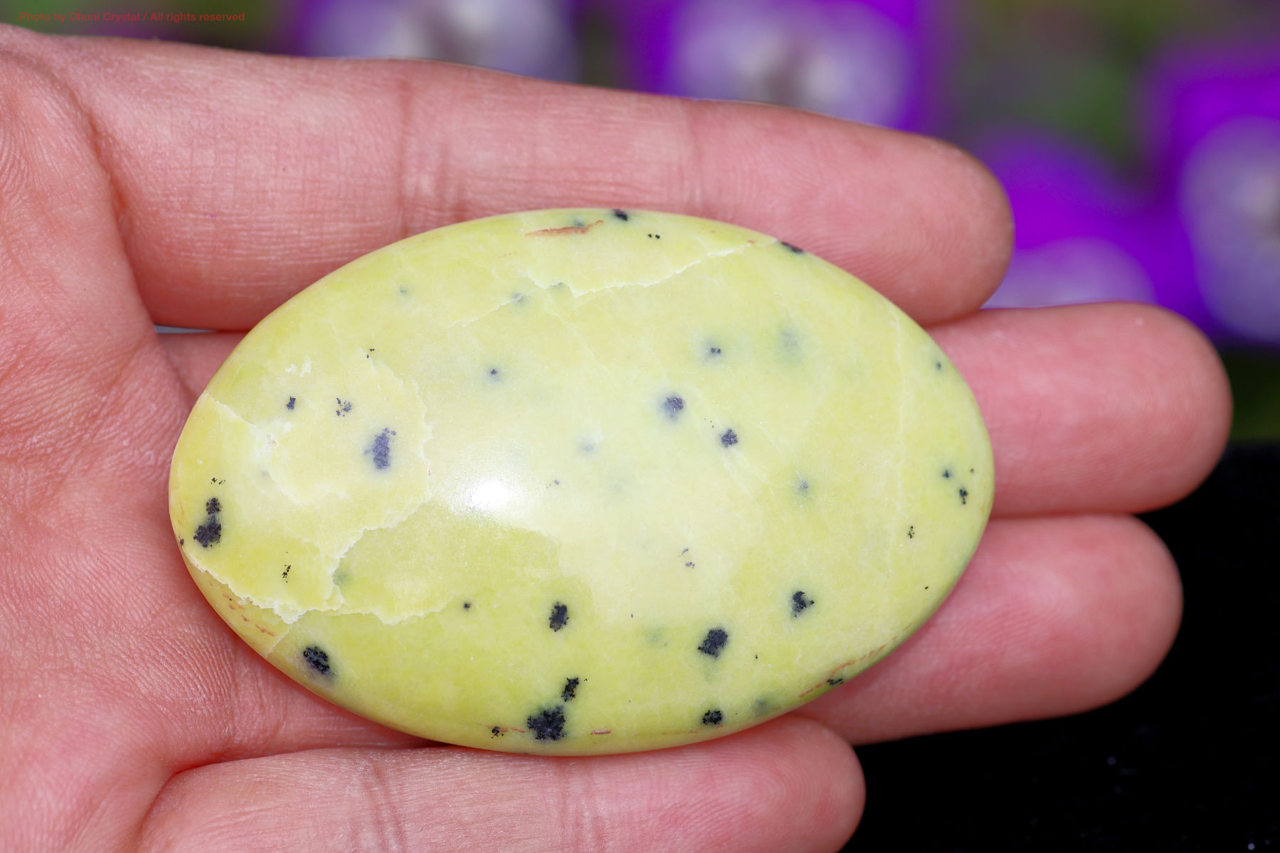 サーペンティンの画像