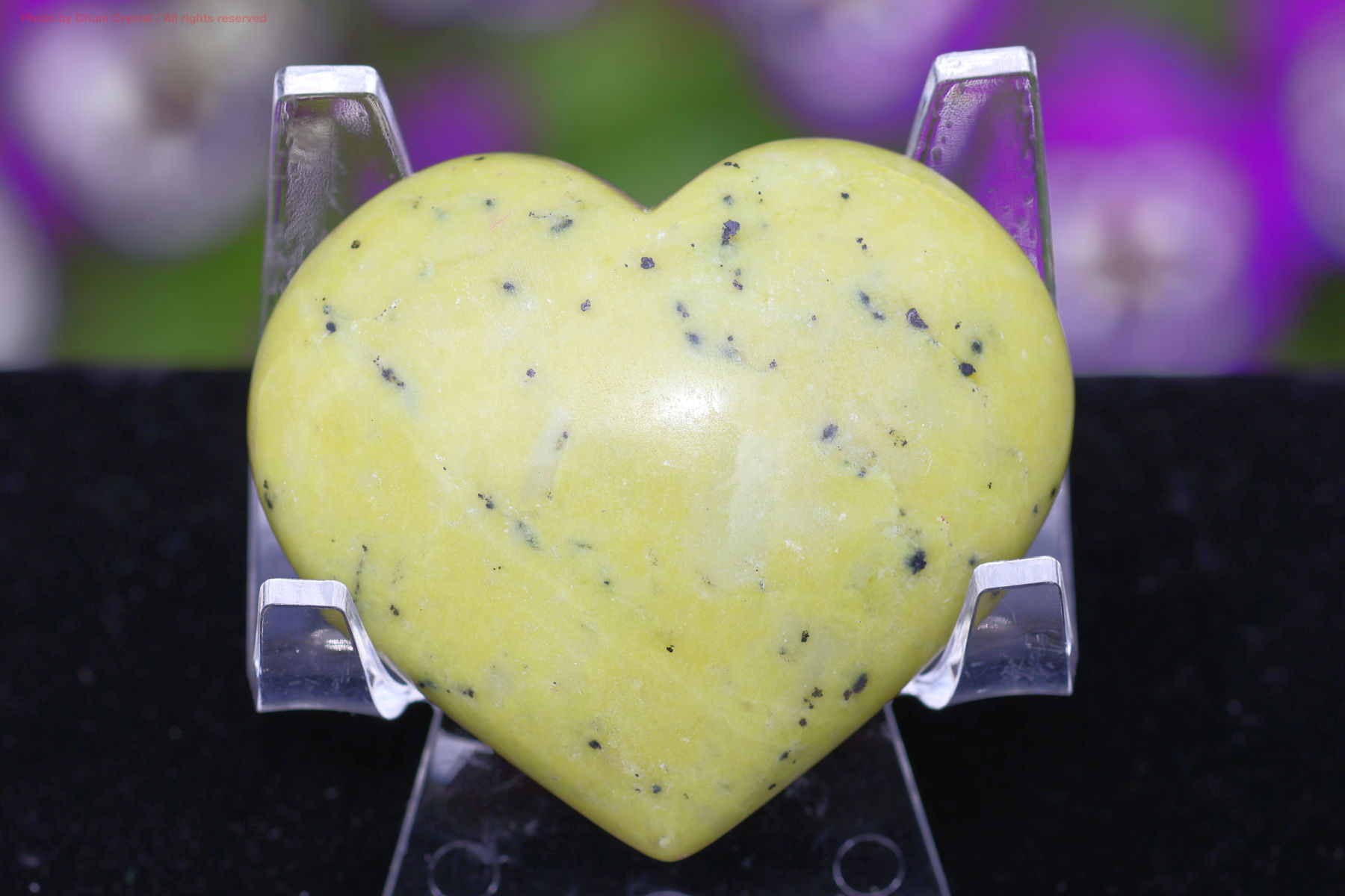 サーペンティンの画像” loading=