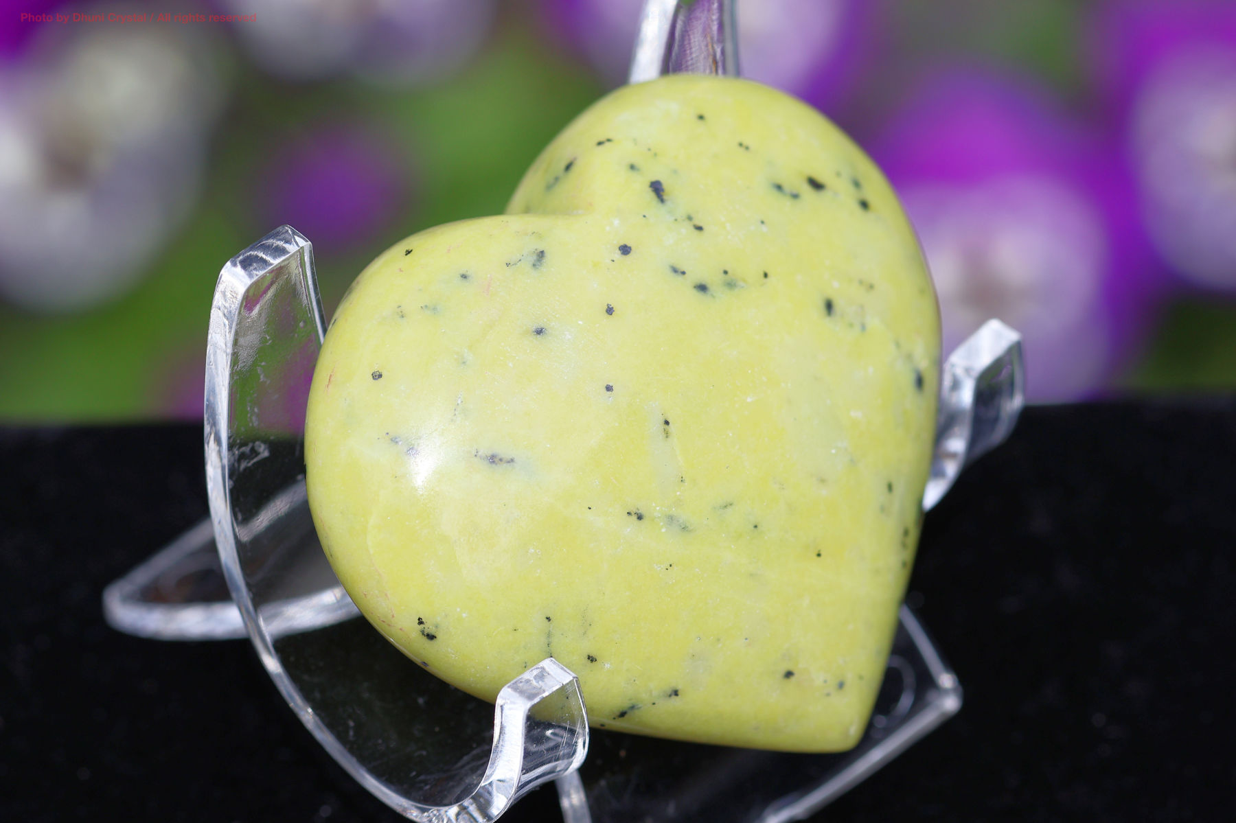 サーペンティンの画像