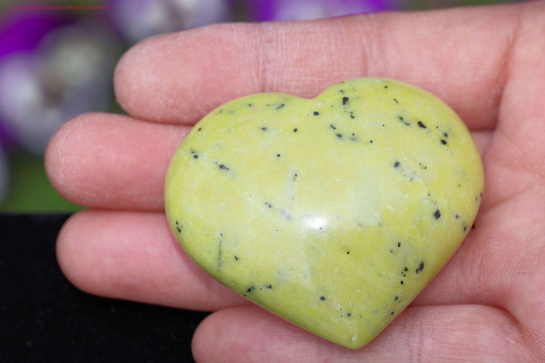 サーペンティンの画像