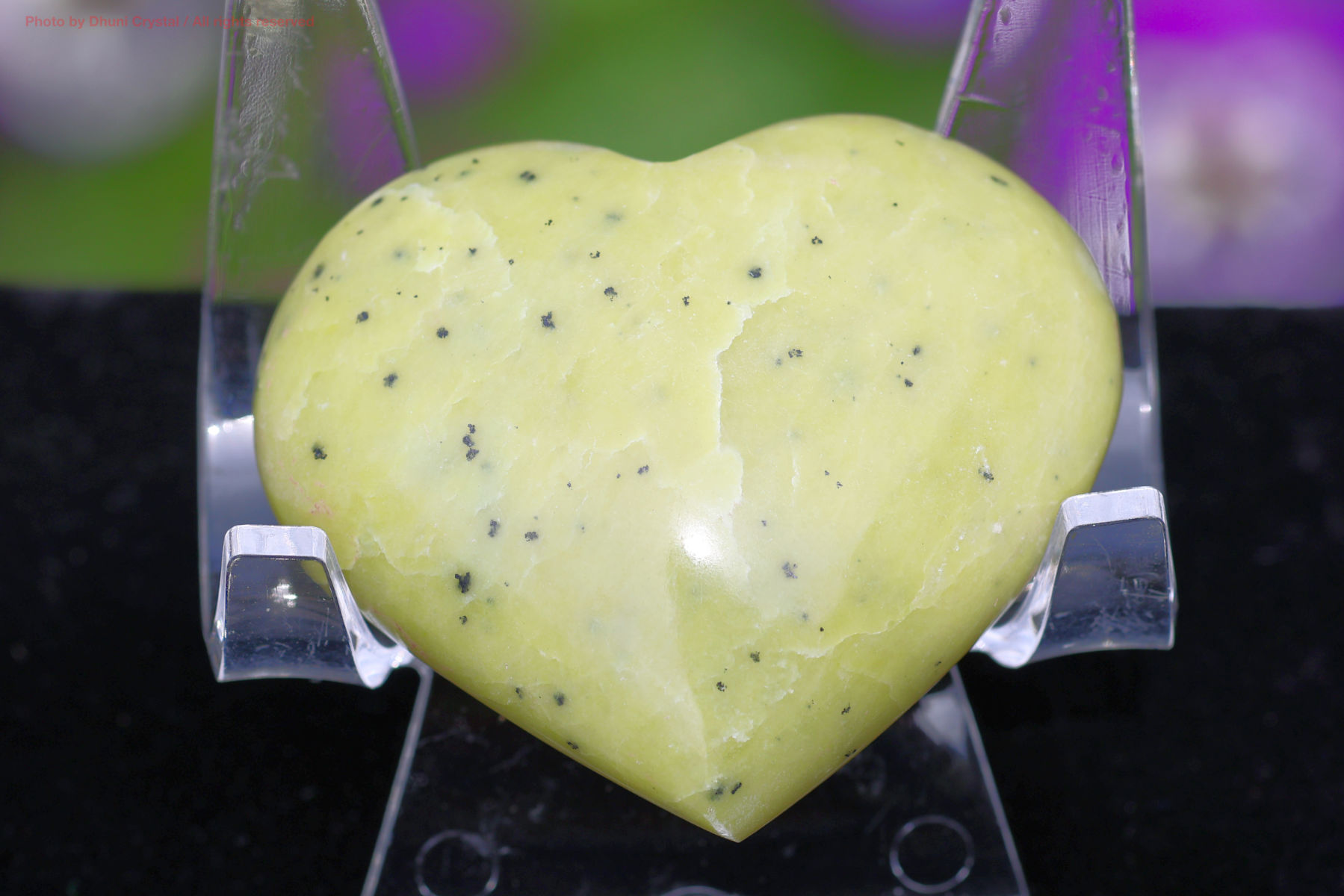 サーペンティンの画像” loading=