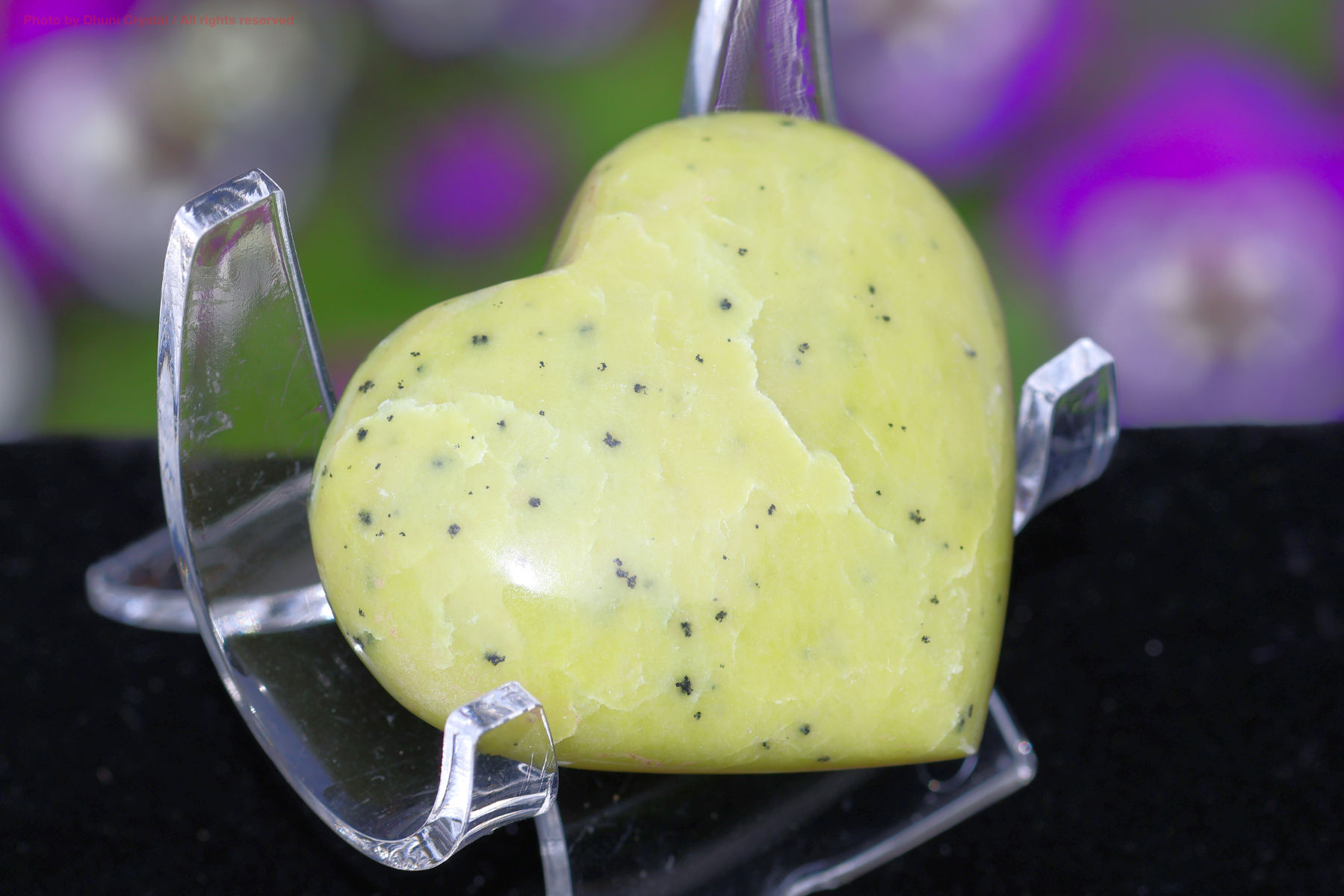 サーペンティンの画像