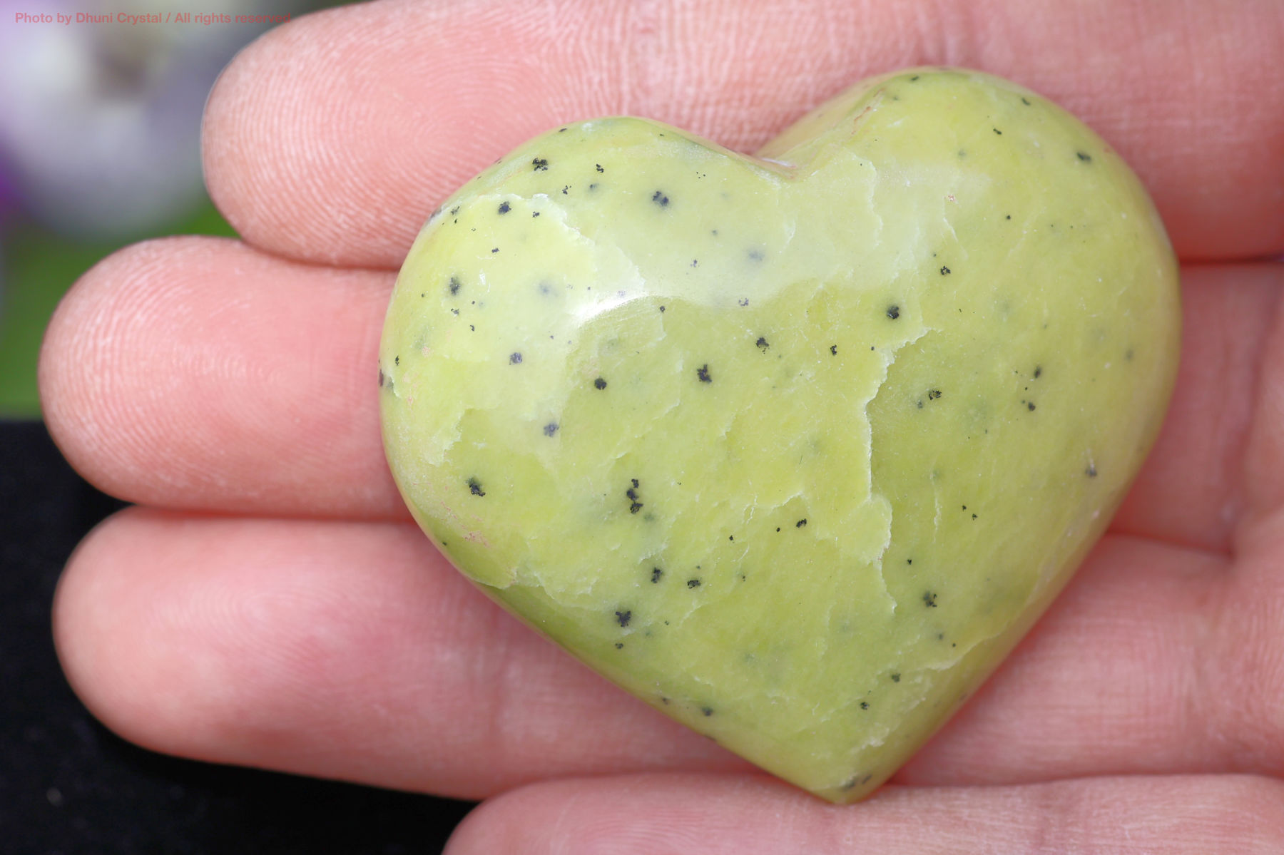 サーペンティンの画像