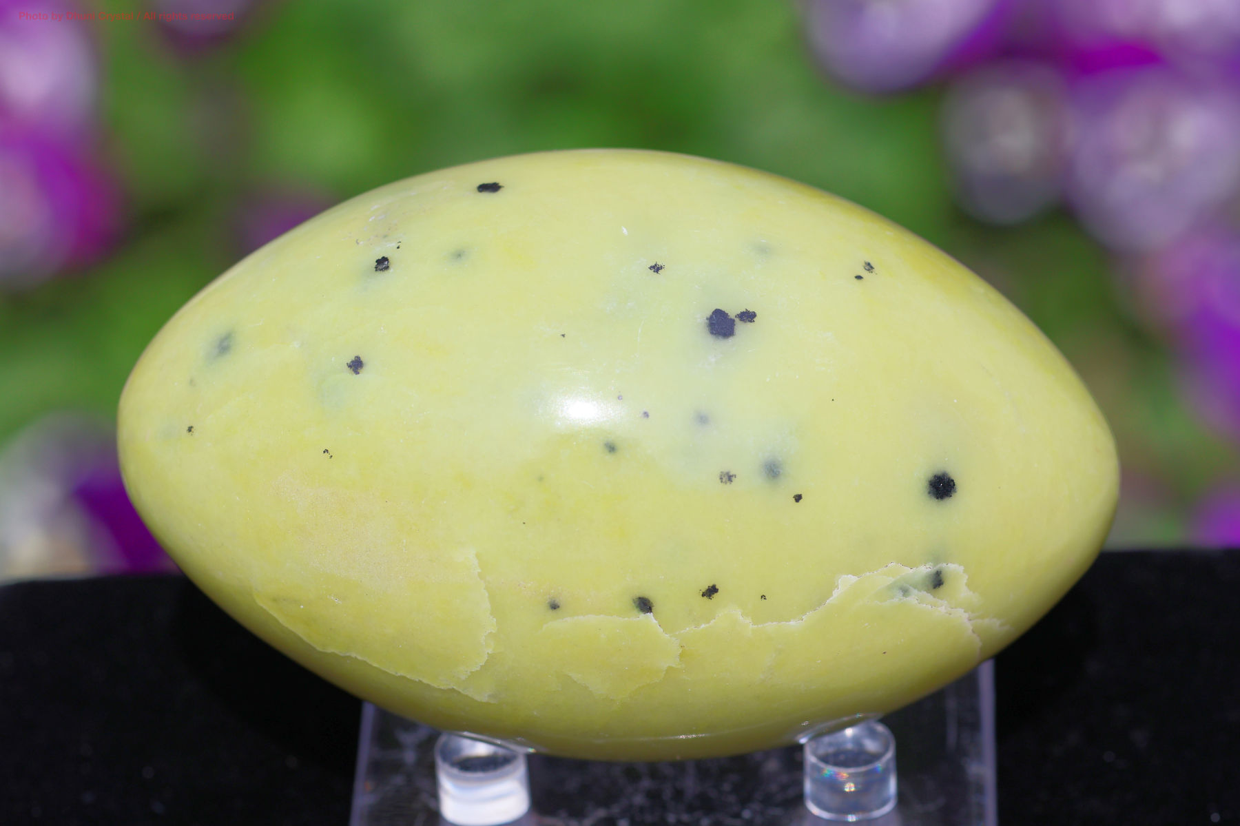 サーペンティンの画像” loading=