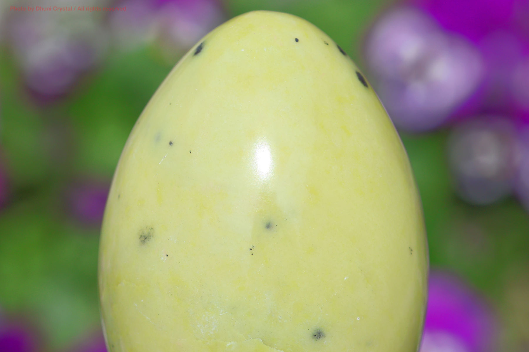 サーペンティンの画像