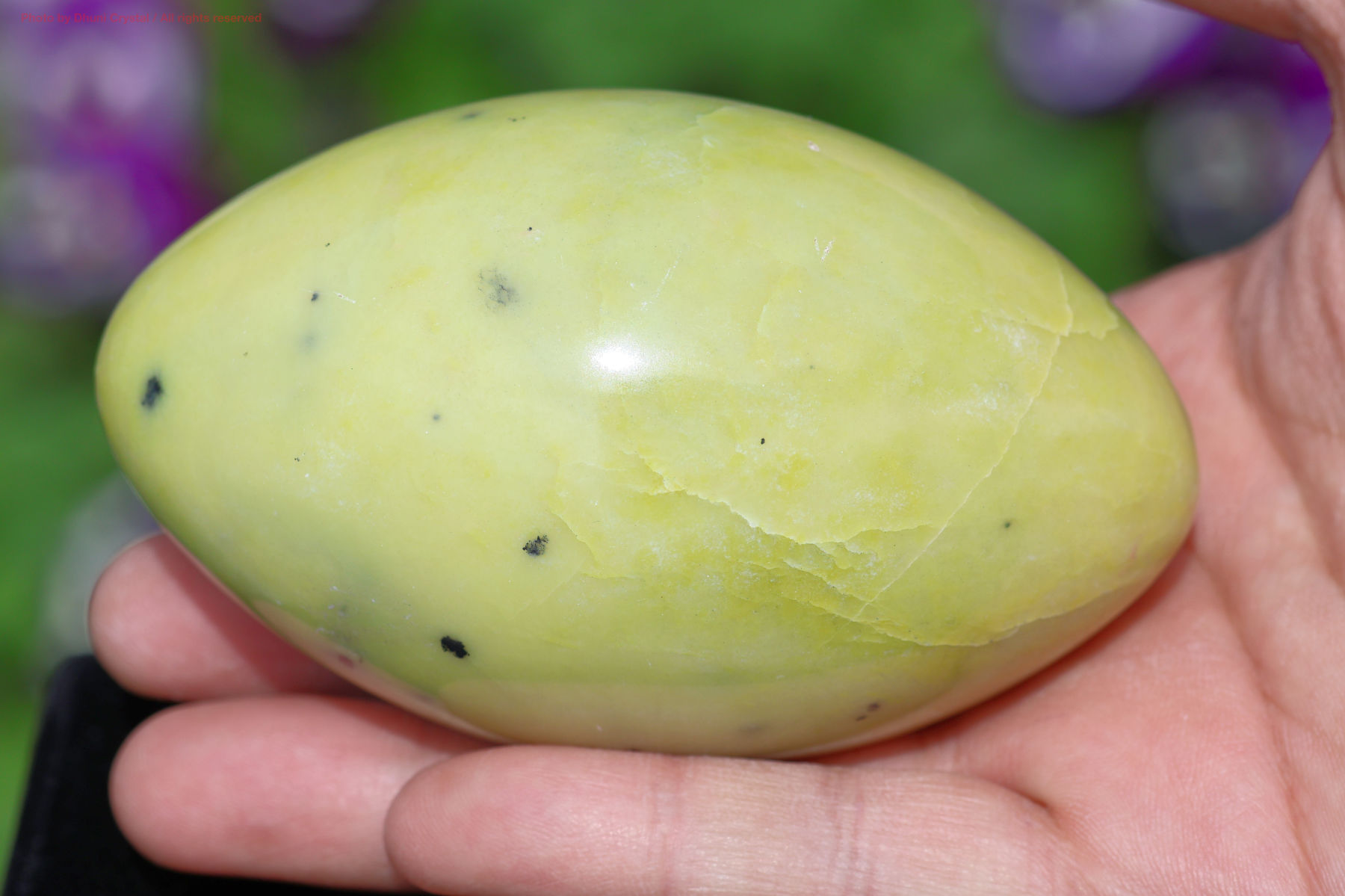 サーペンティンの画像