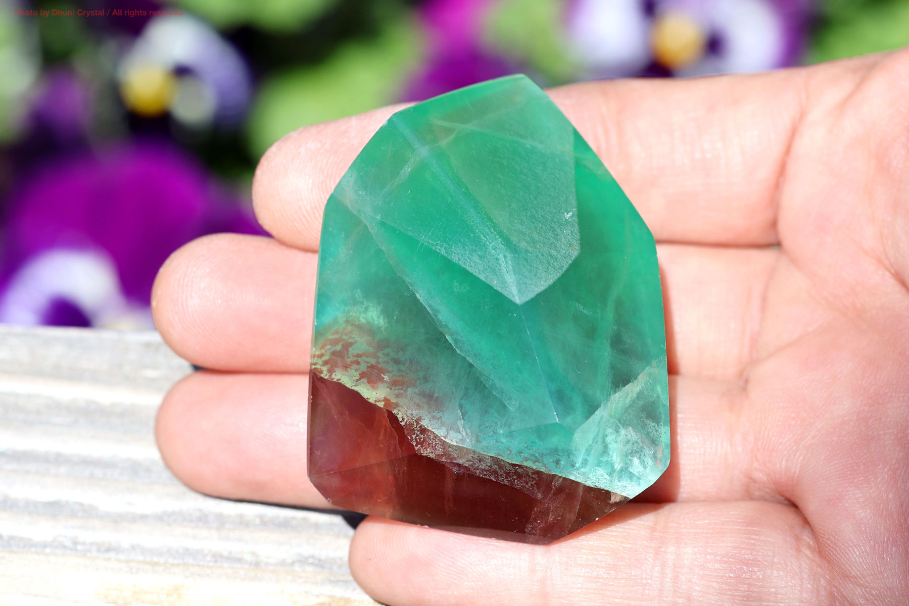 キャンディー・フローライト手の上の画像” loading=