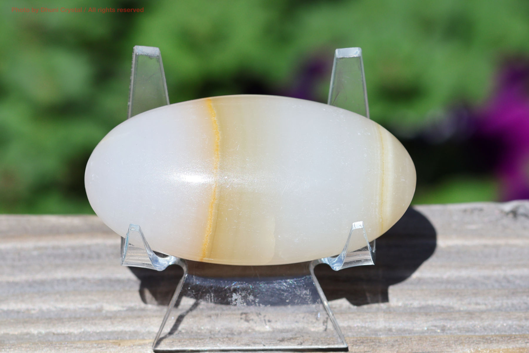 メロンカルサイトの画像” loading=