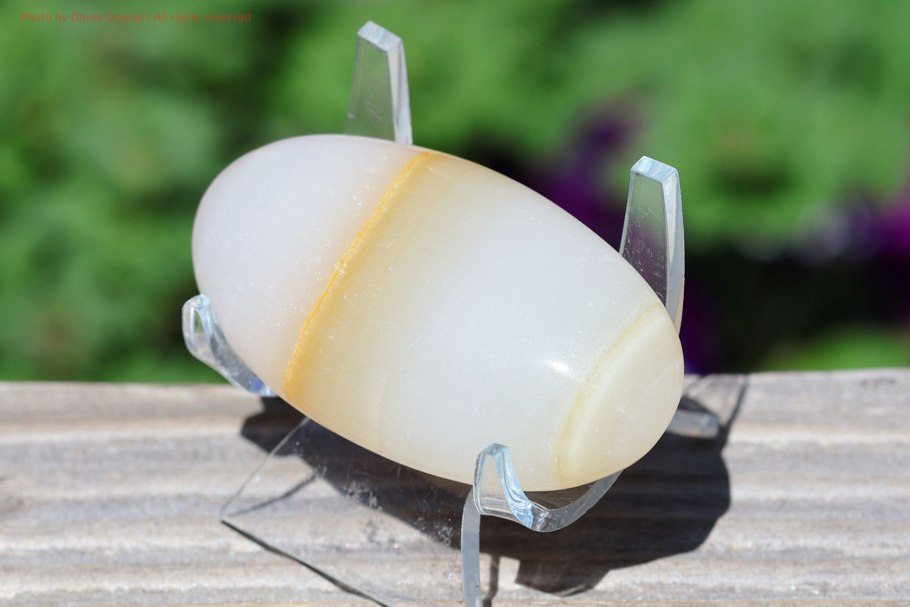 メロンカルサイトの画像