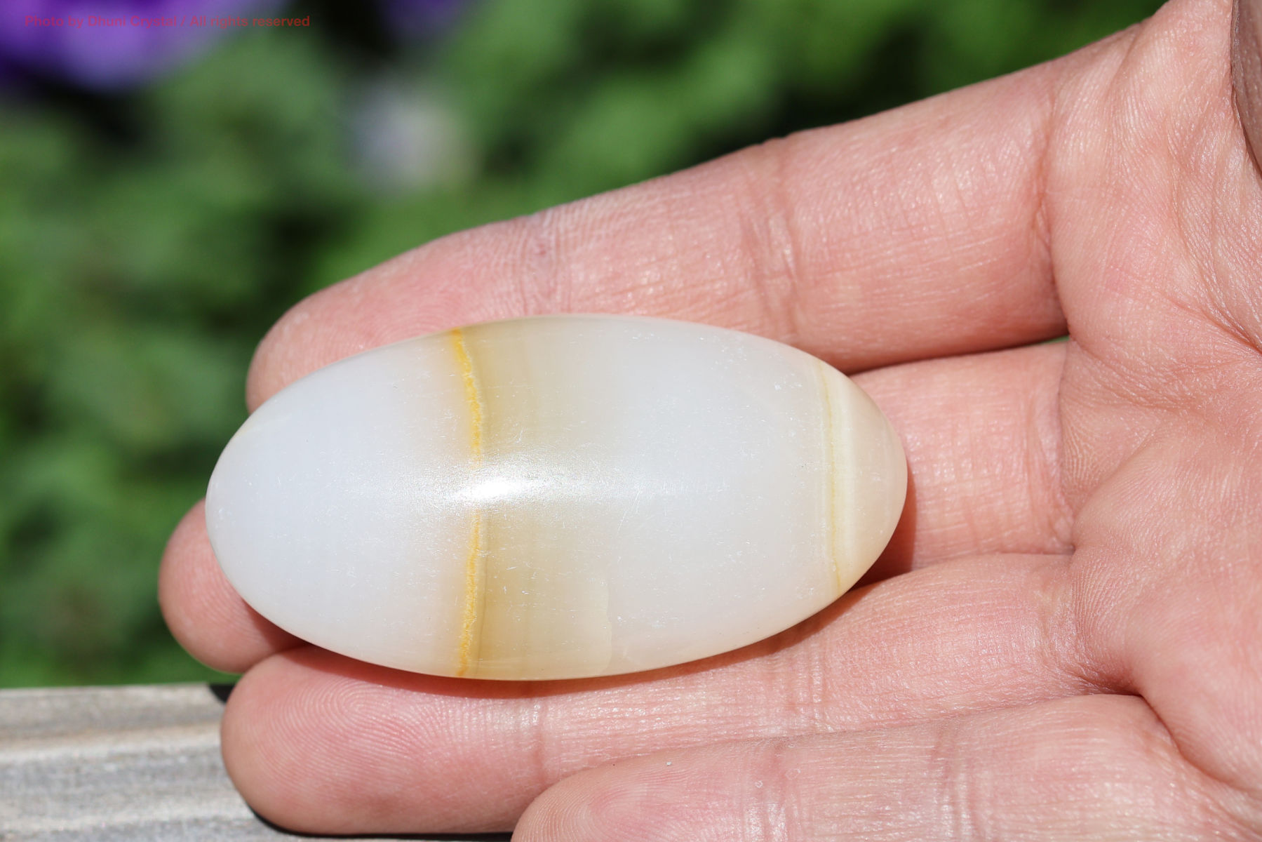 メロンカルサイト手の上の画像